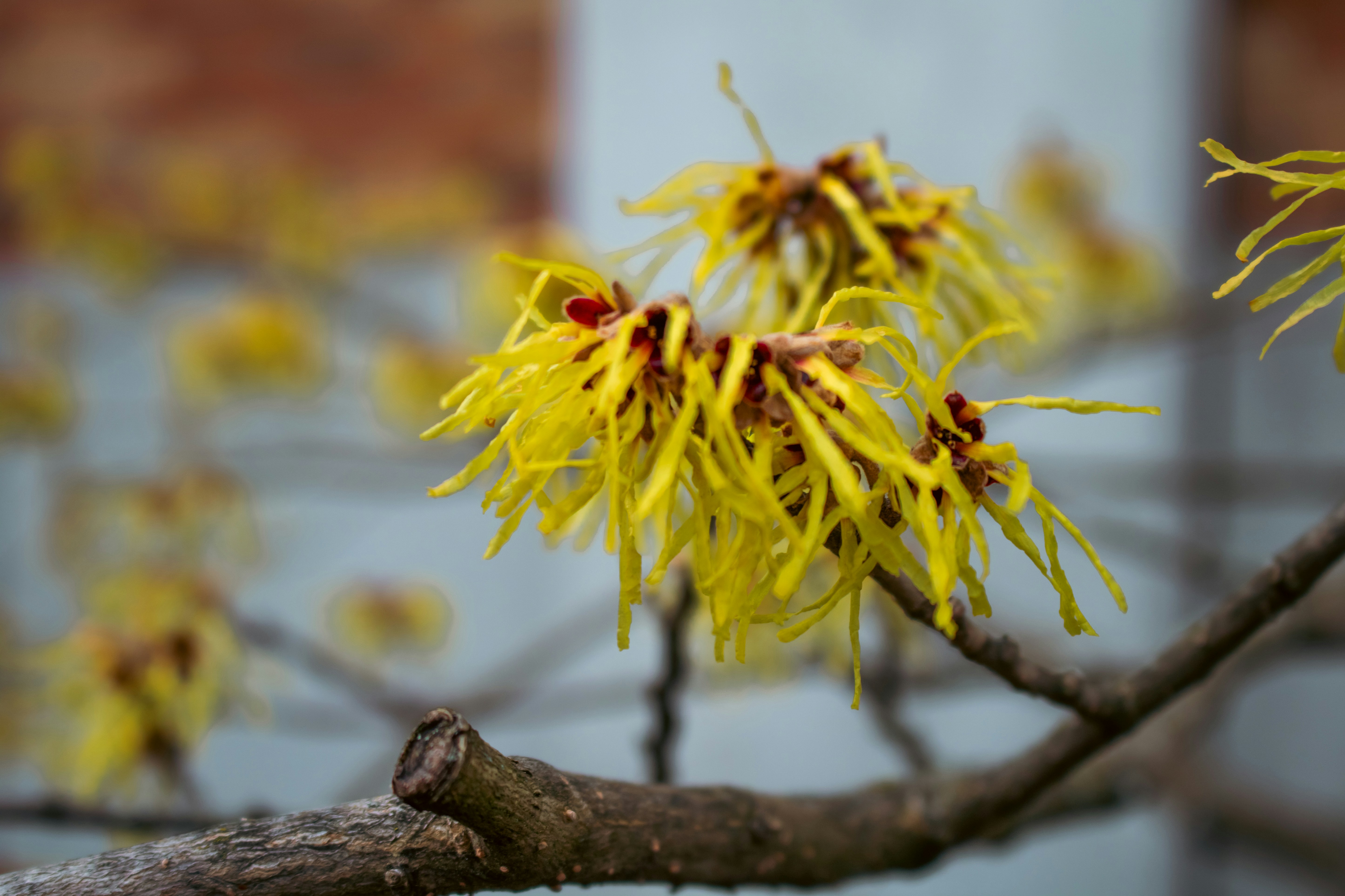 Photo by zoshuacolah