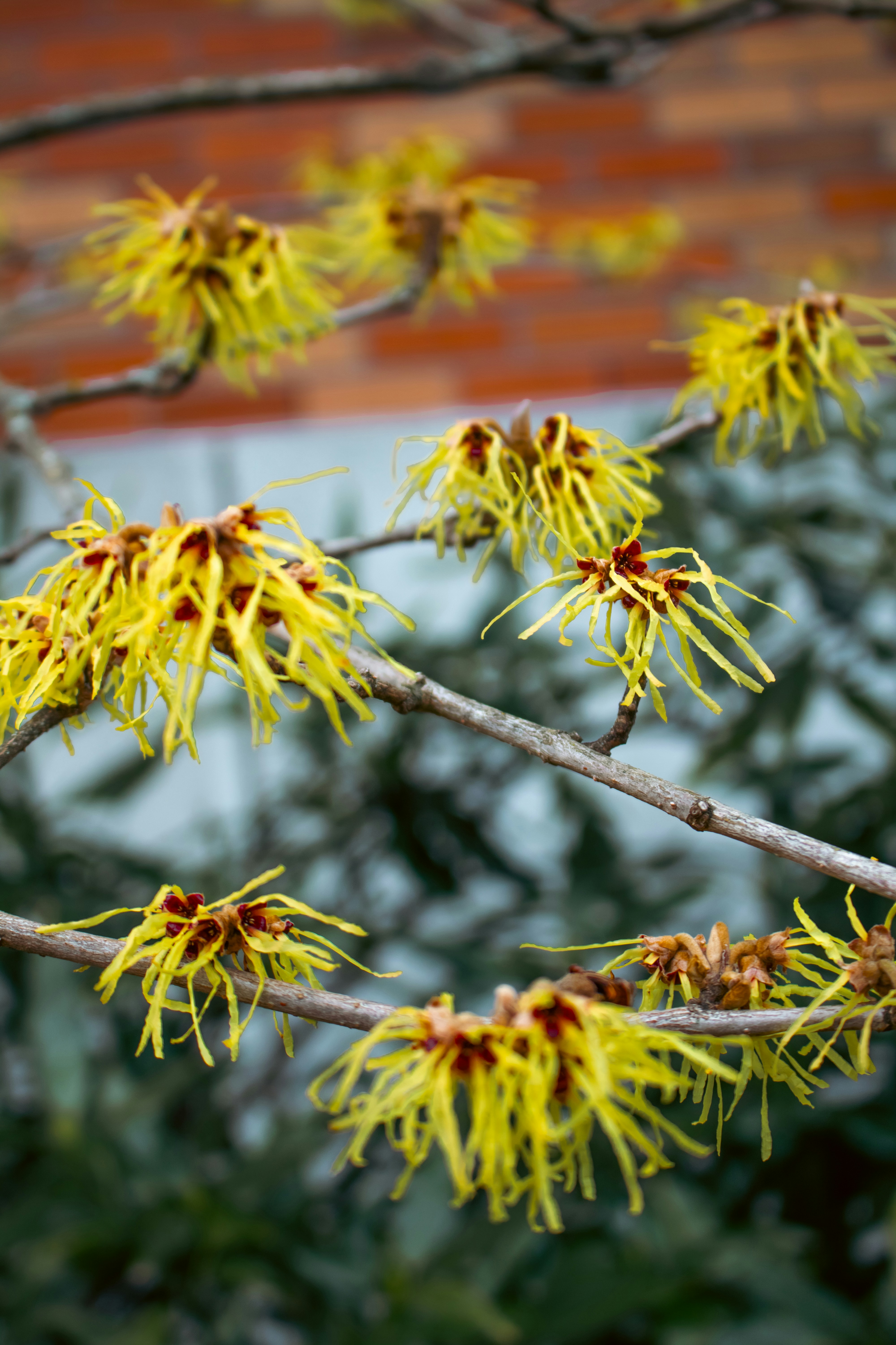 Photo by zoshuacolah