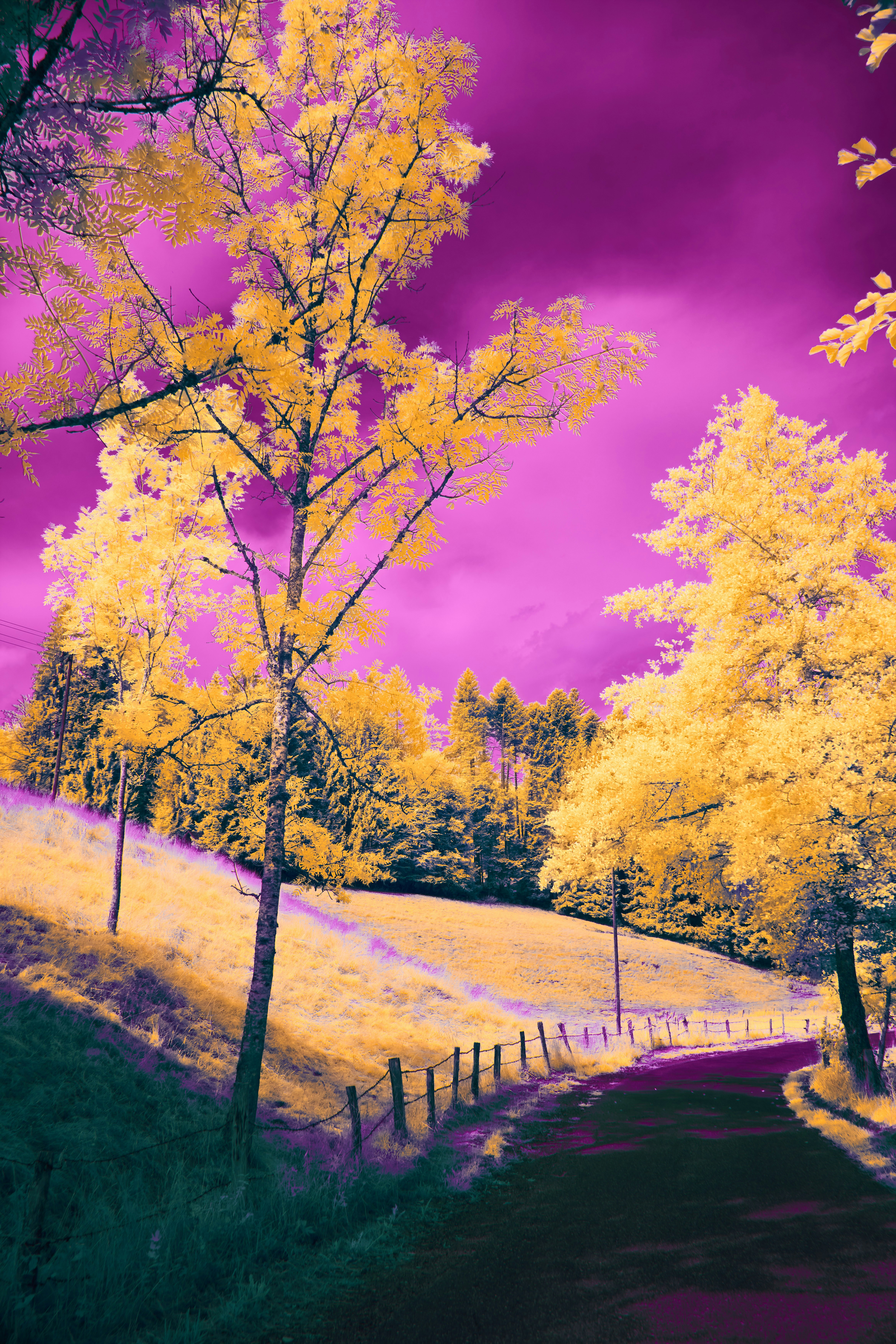 Photo by wolfgang_hasselmann