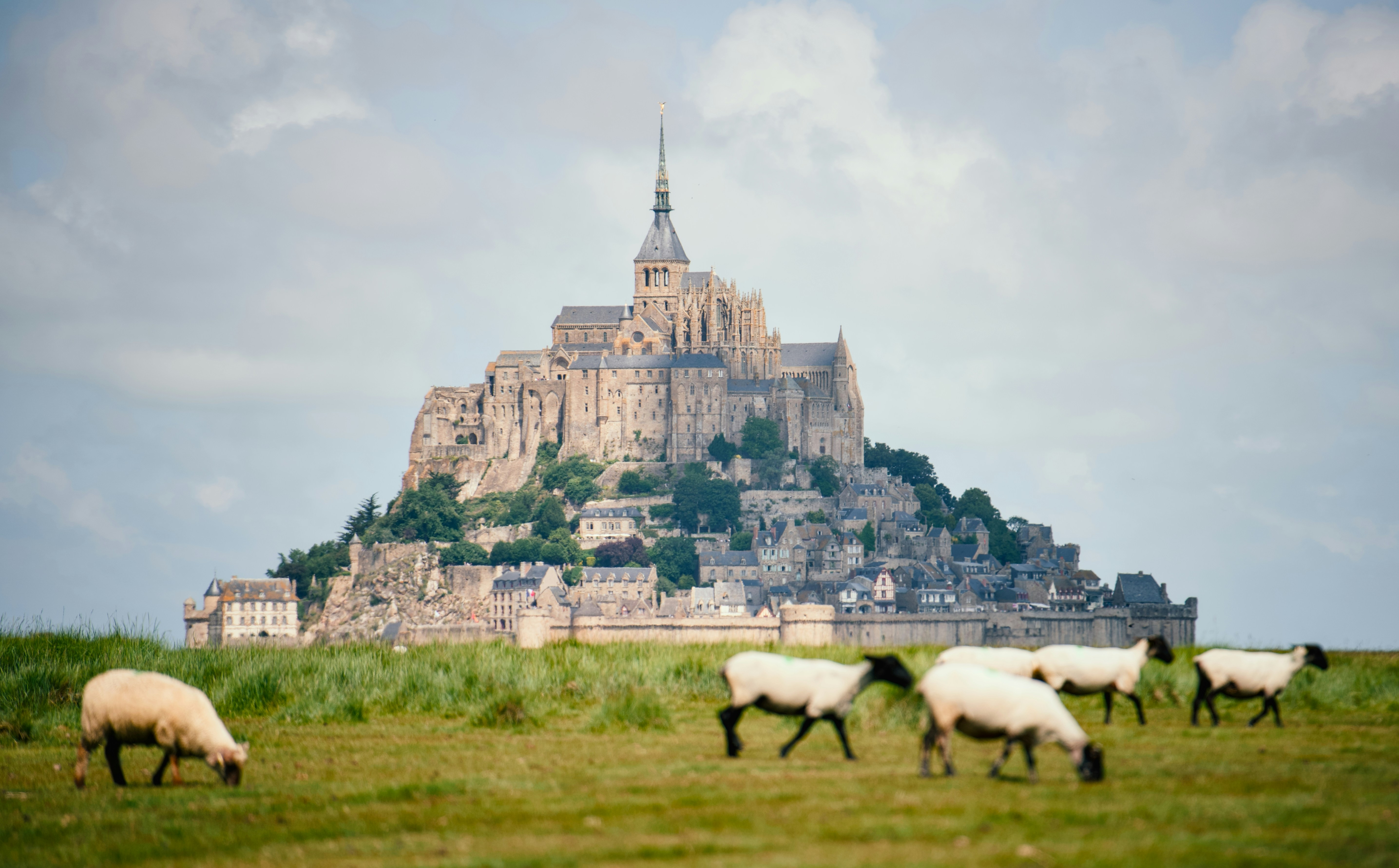 Photo by aaphotoverse