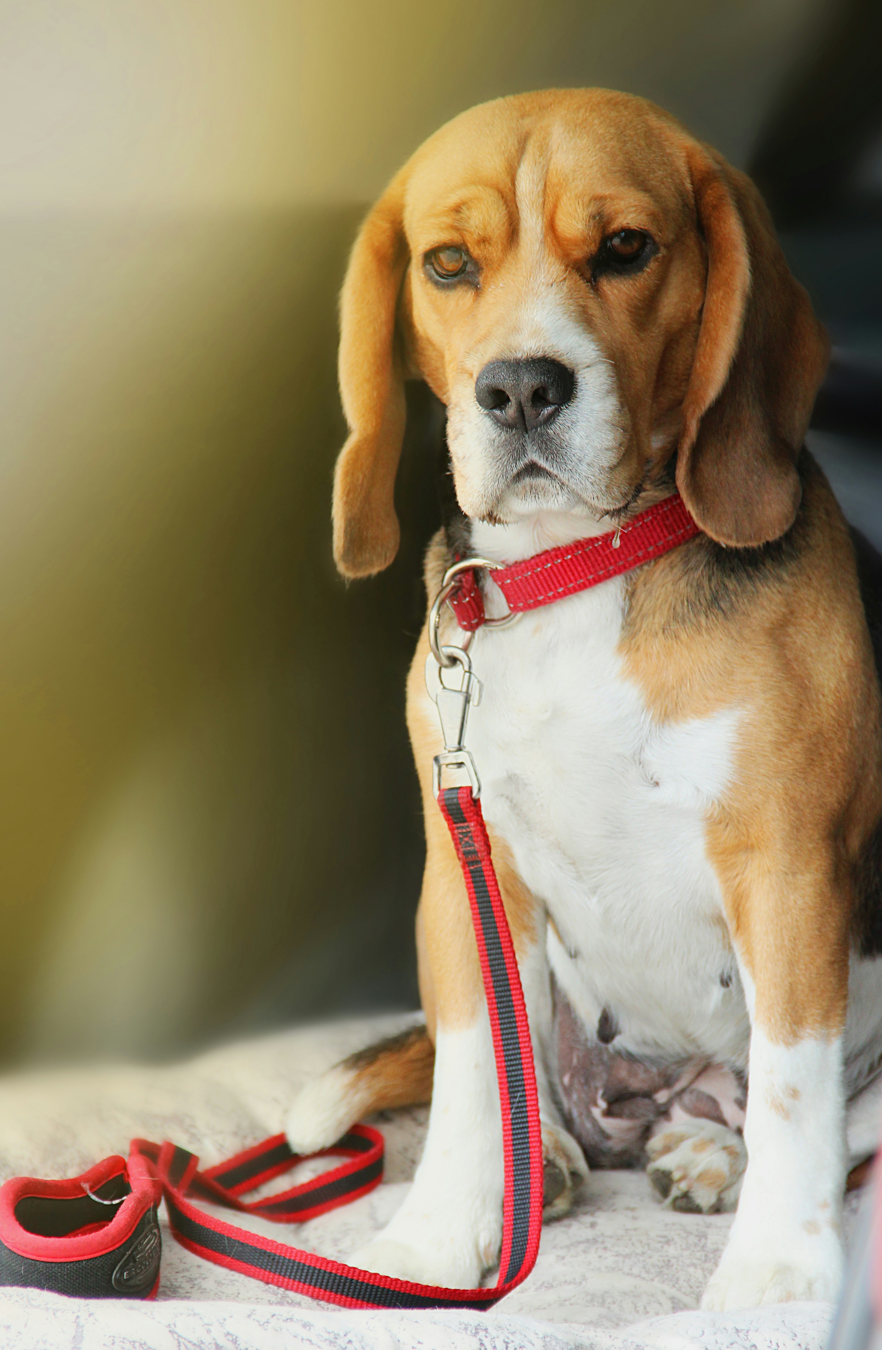 Photo by kseniavisuals