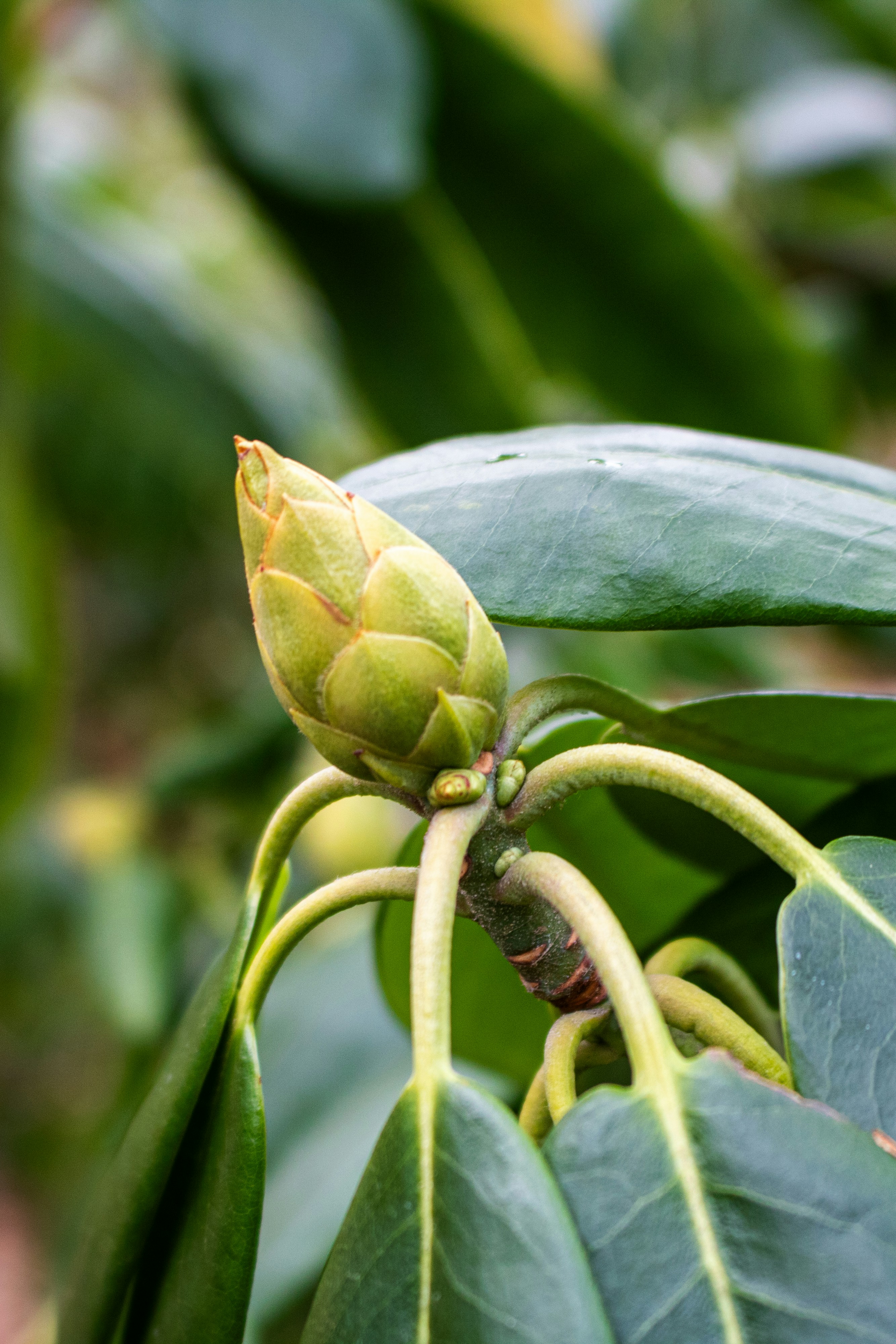 Photo by zoshuacolah