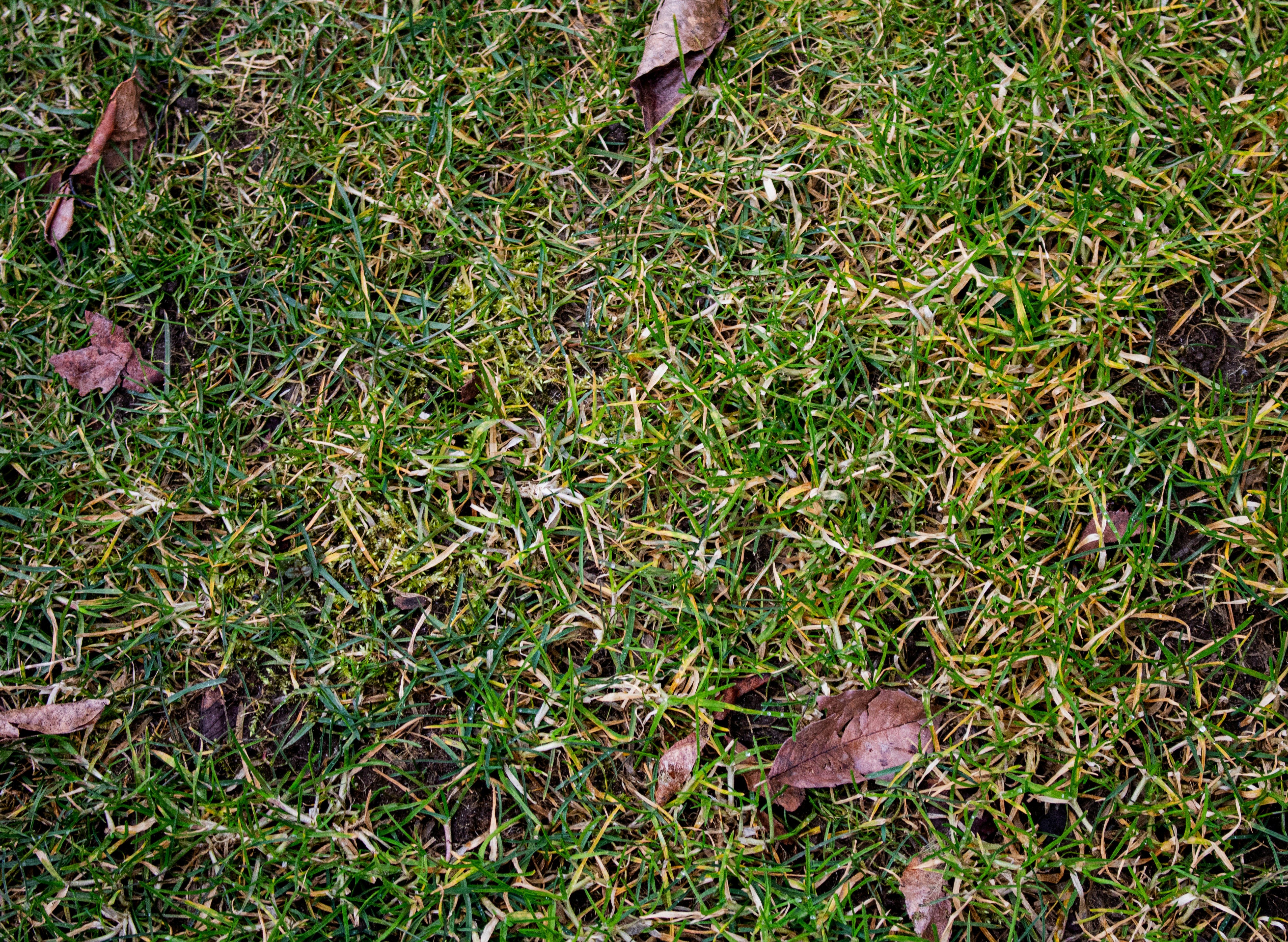 The Meaning Behind Circle Stops