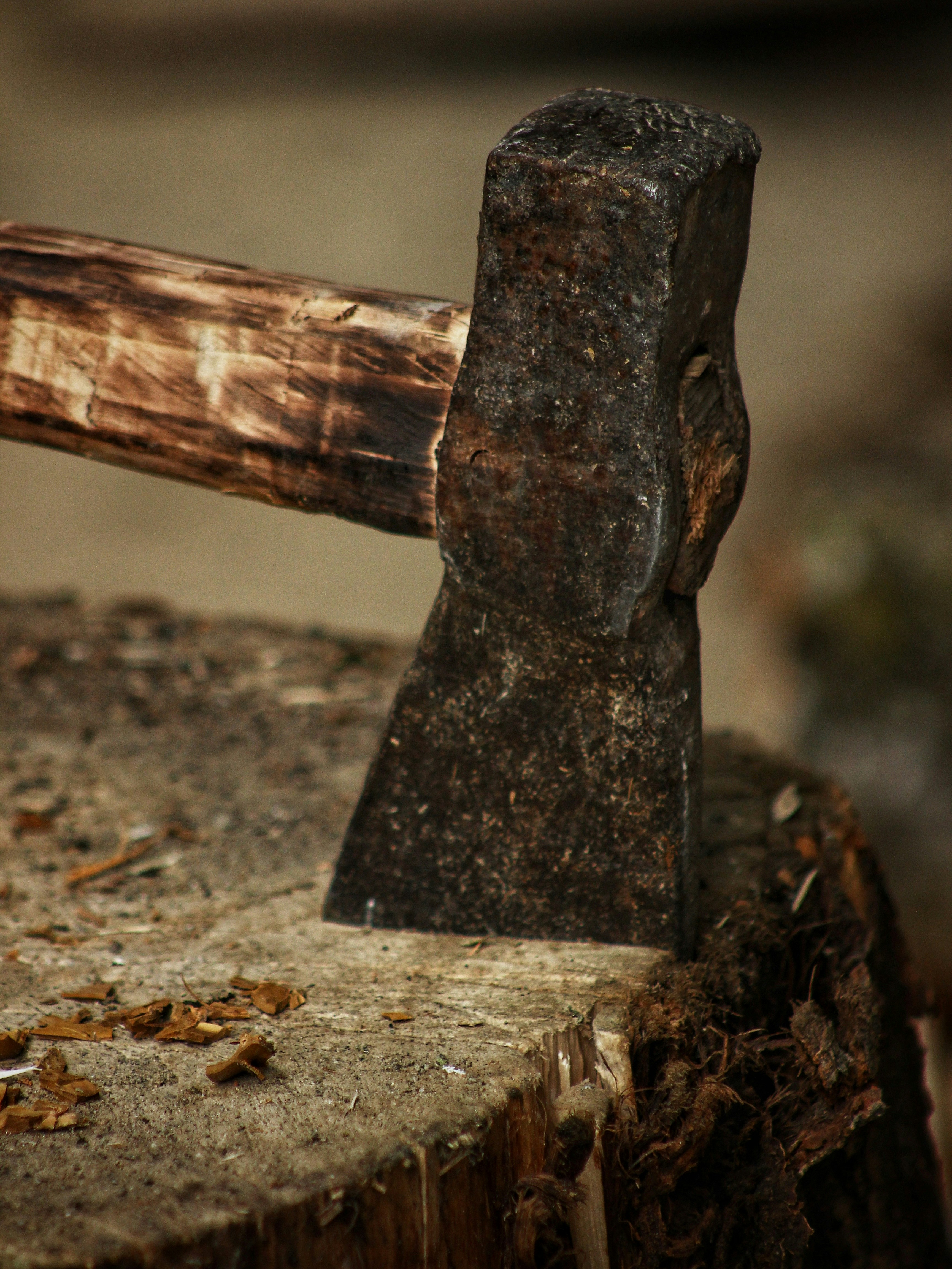 Photo by michael_kater