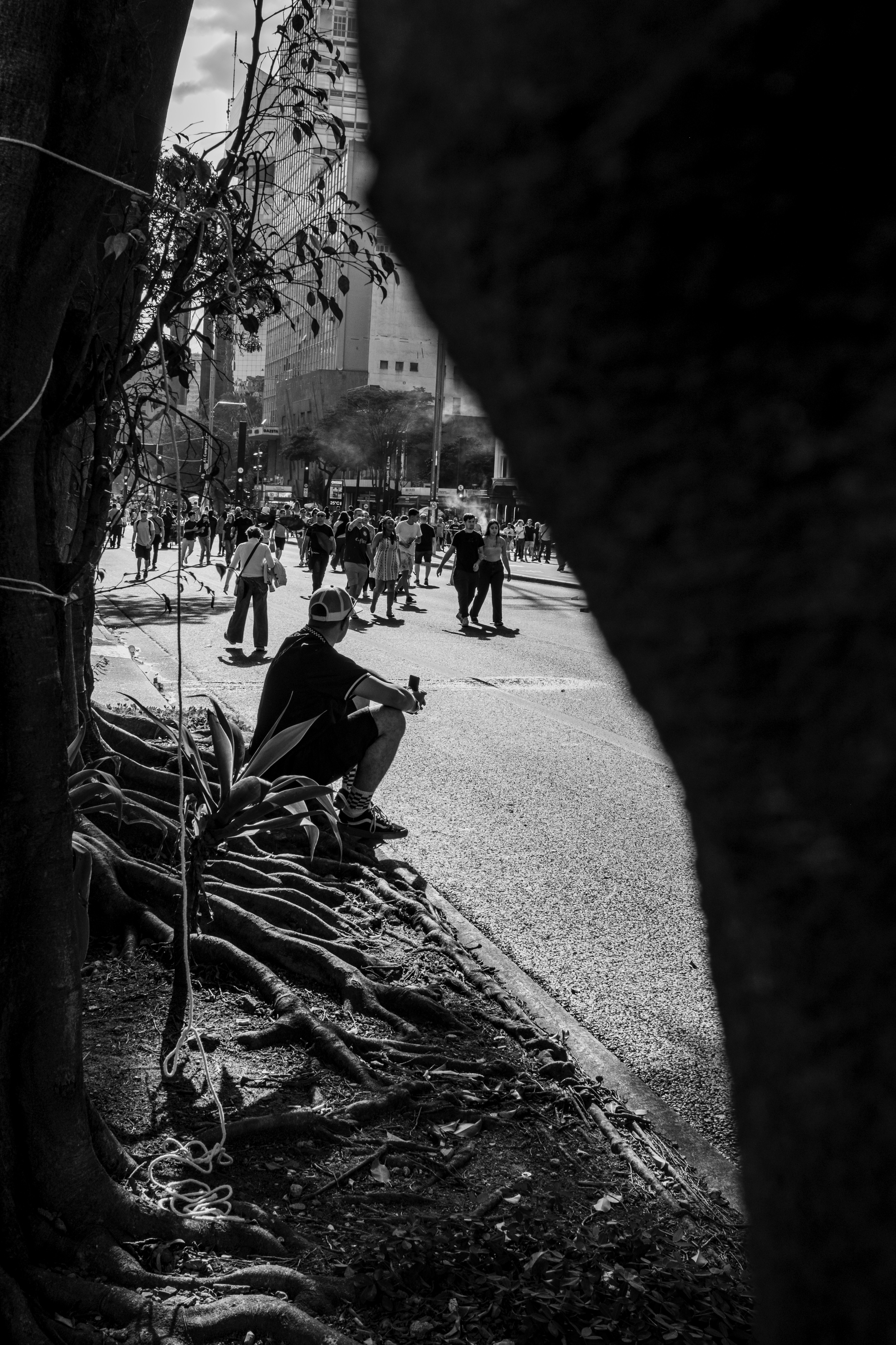 Photo by darwinboaventura