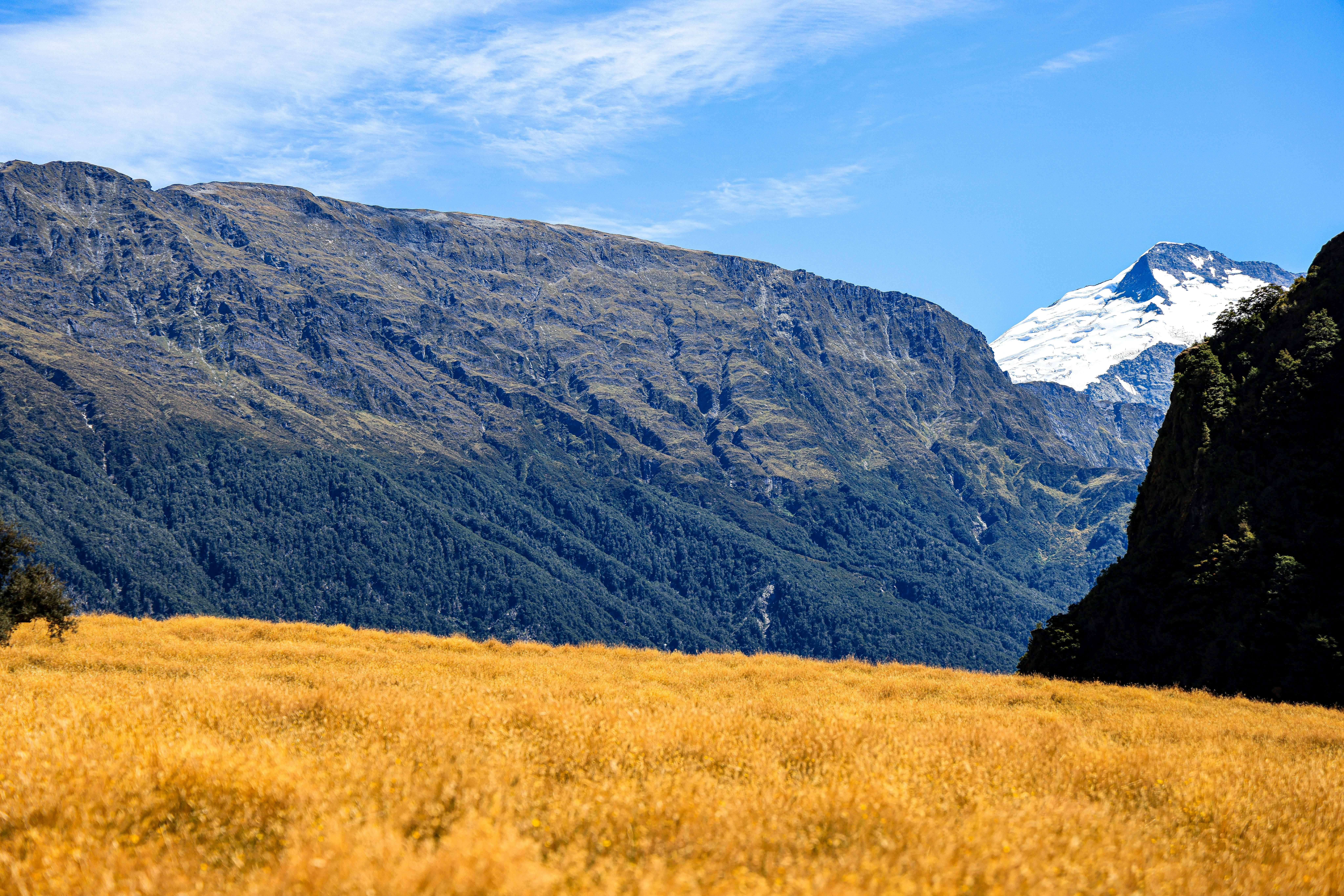 Photo by maximilian_brand