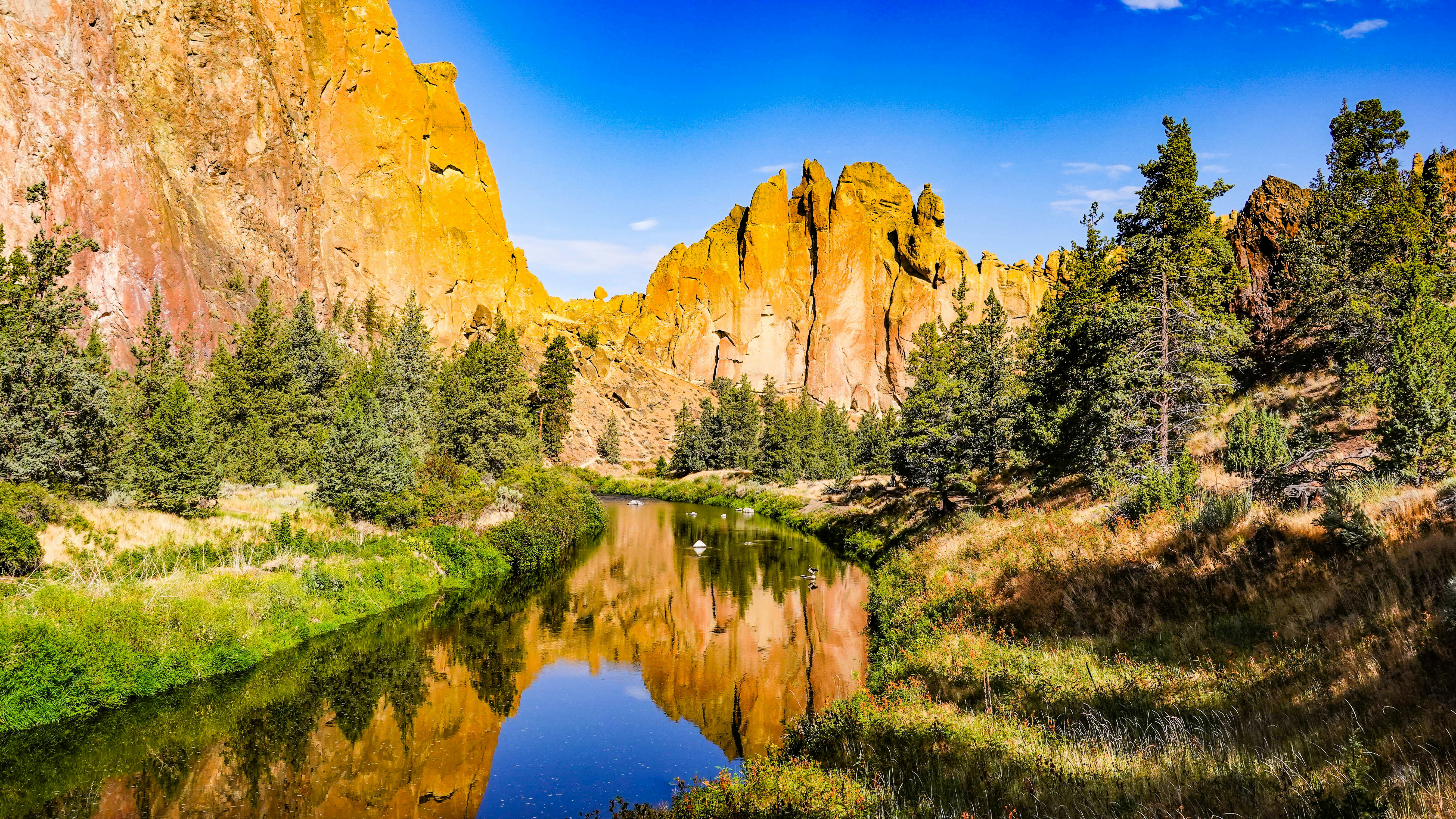 River flows by striking cliffs and trees.