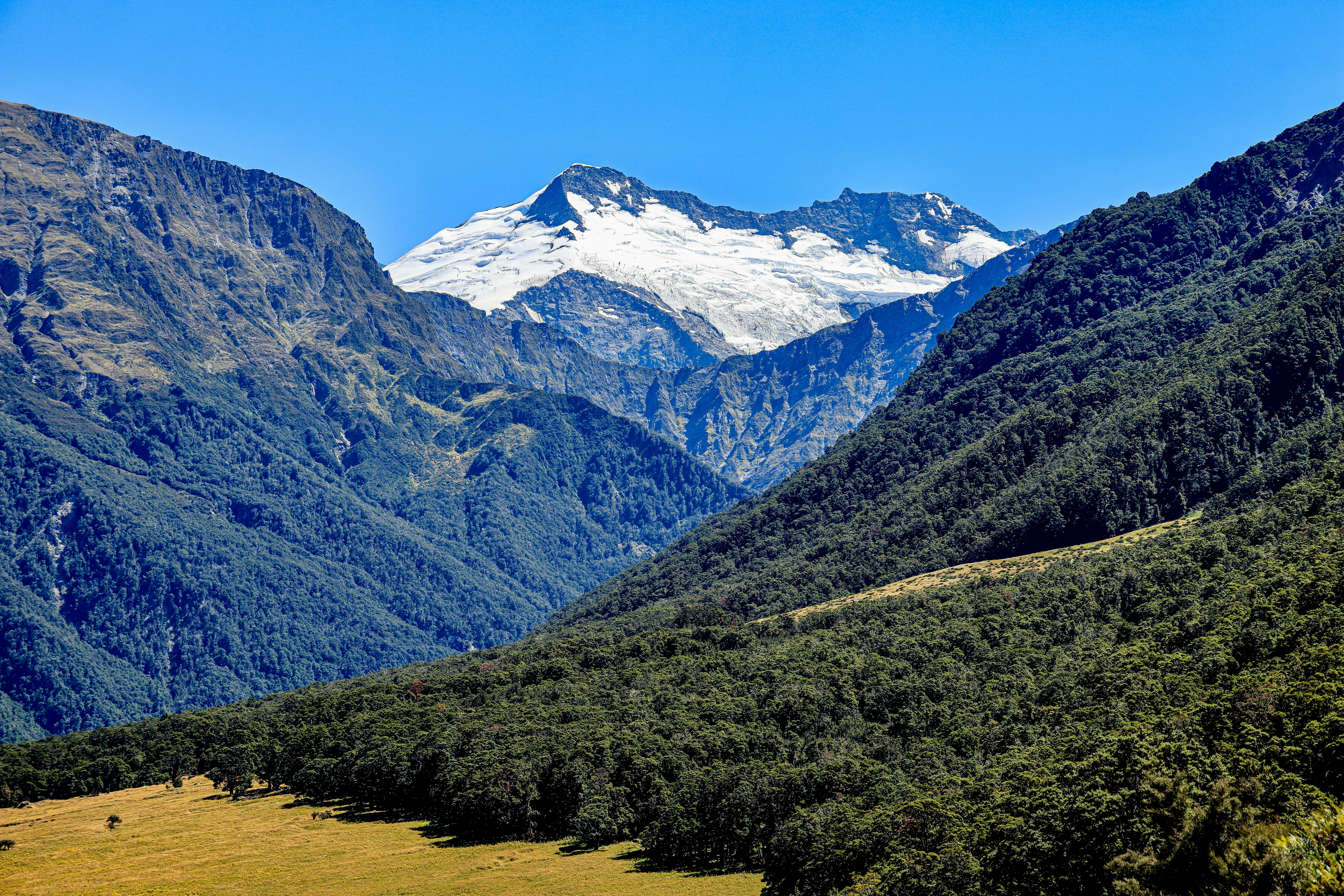 Photo by maximilian_brand