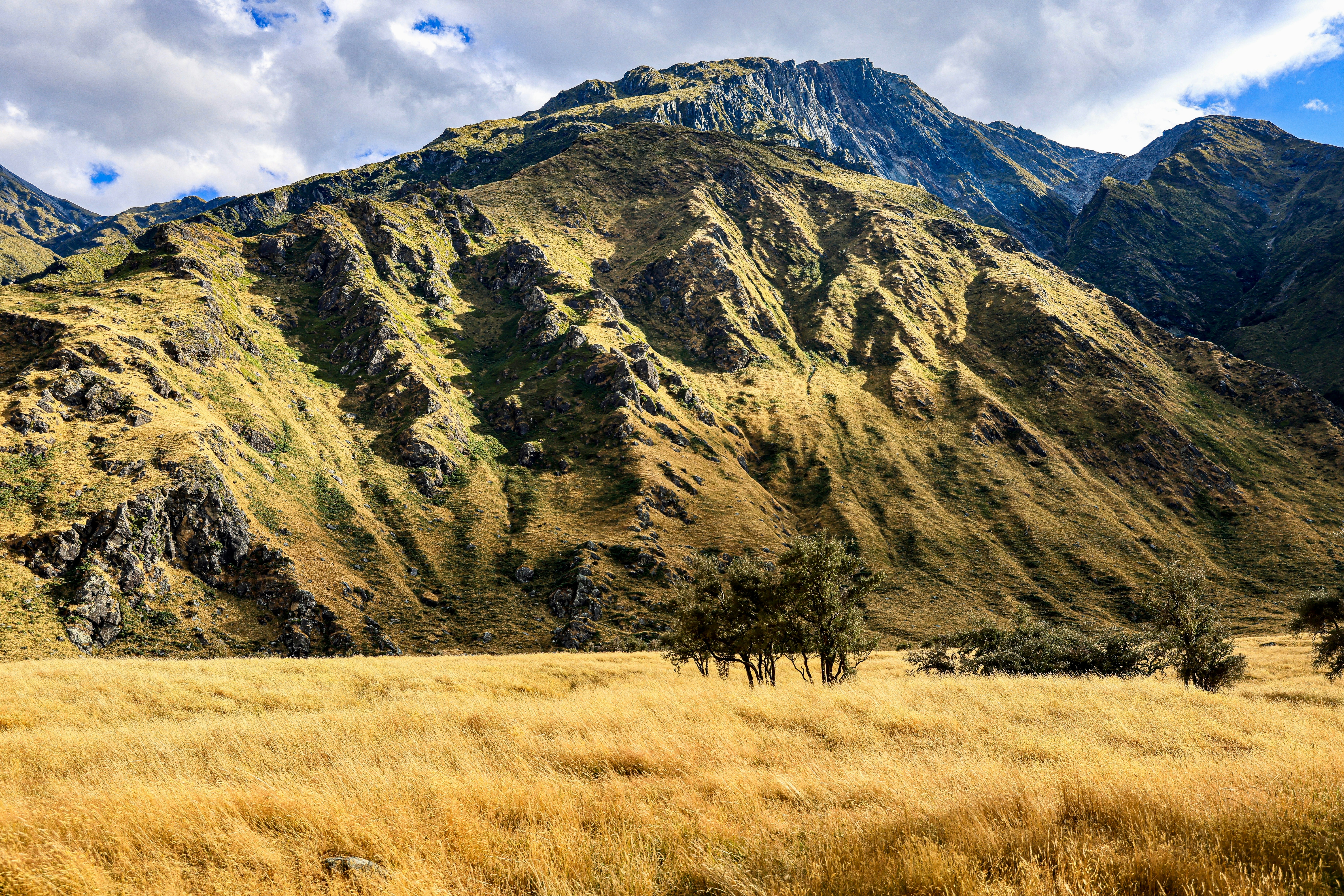 Photo by maximilian_brand