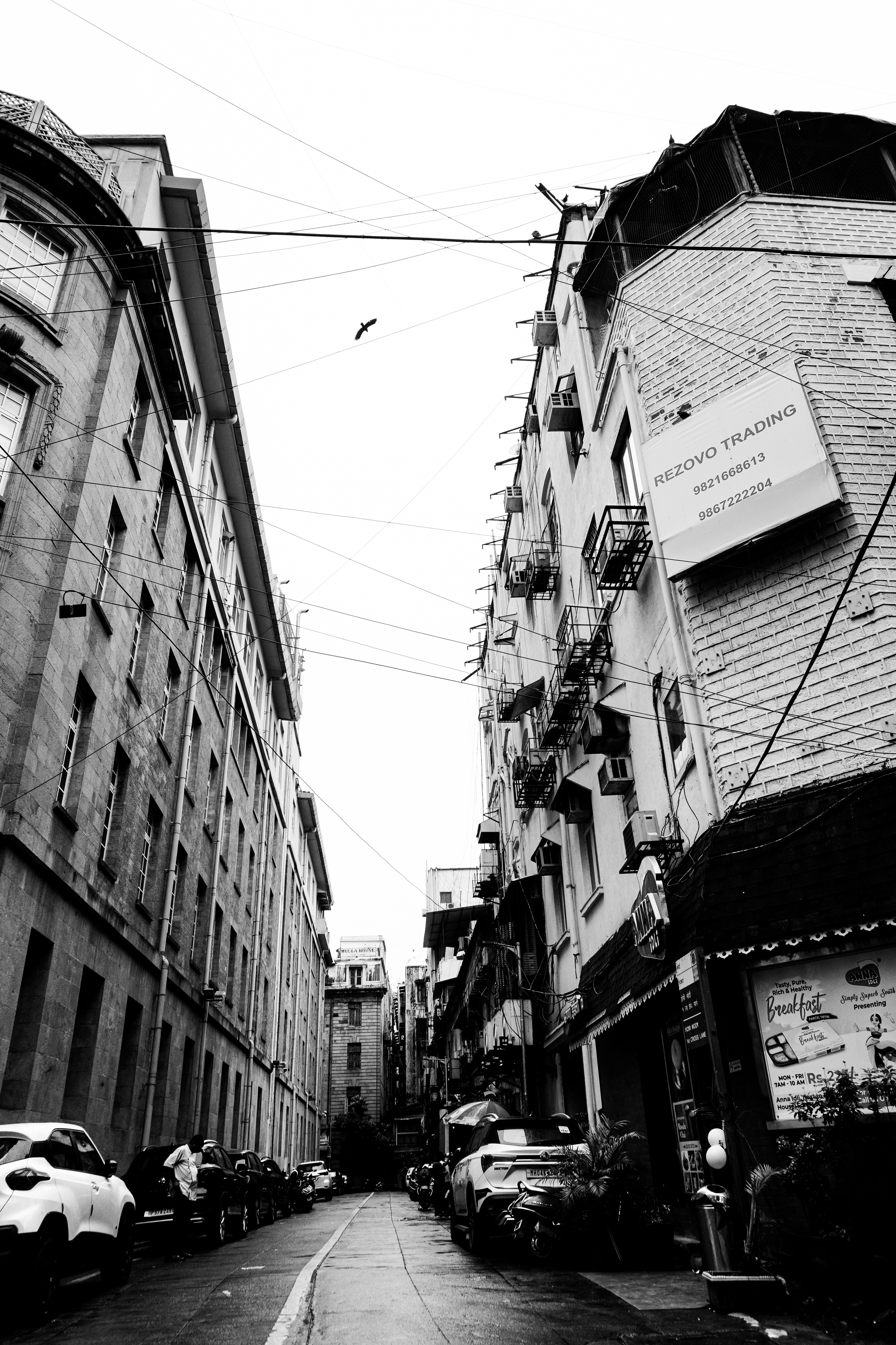 Photo by _muser_photography