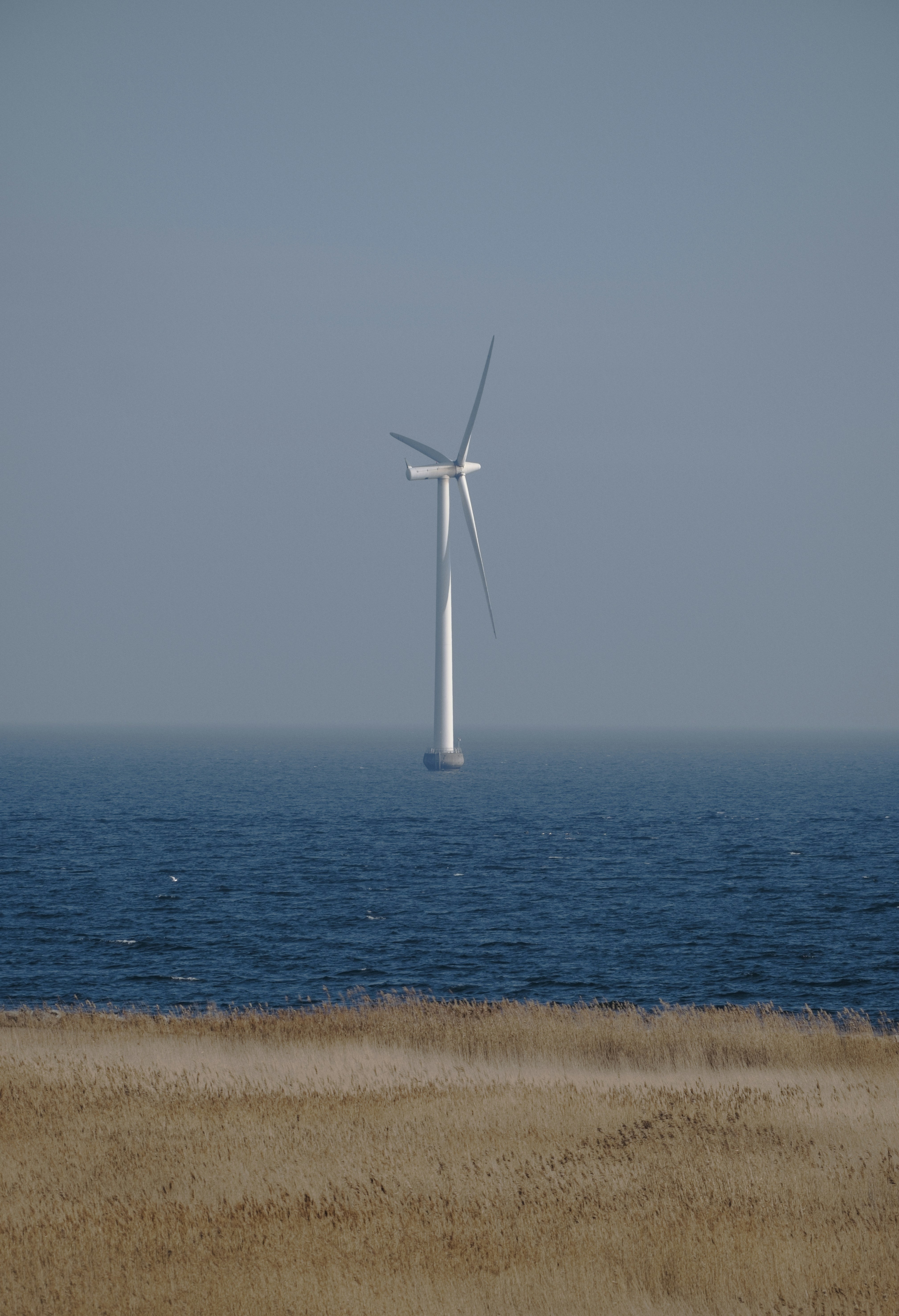 Photo by rozoviesloniki