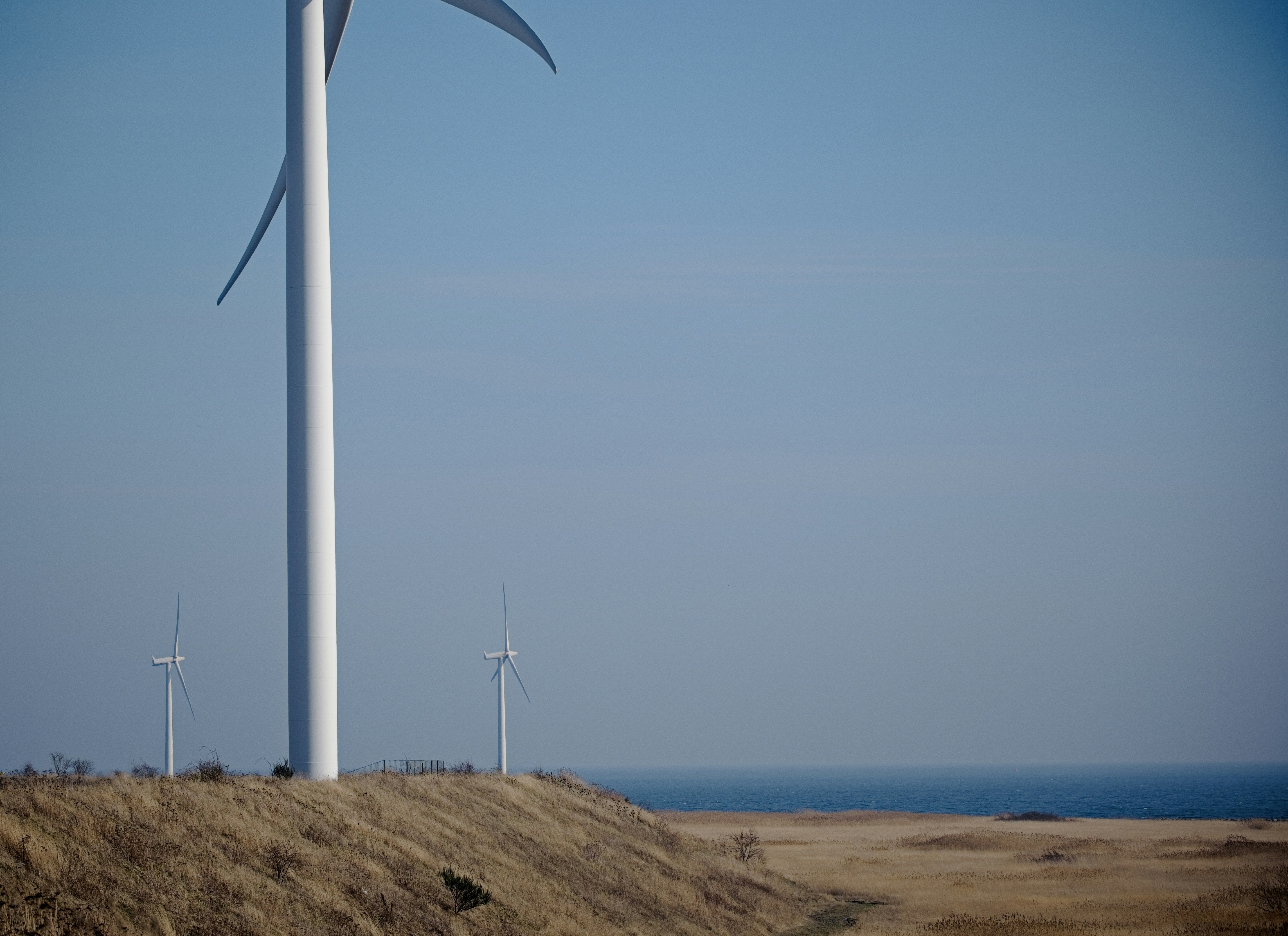 Photo by rozoviesloniki