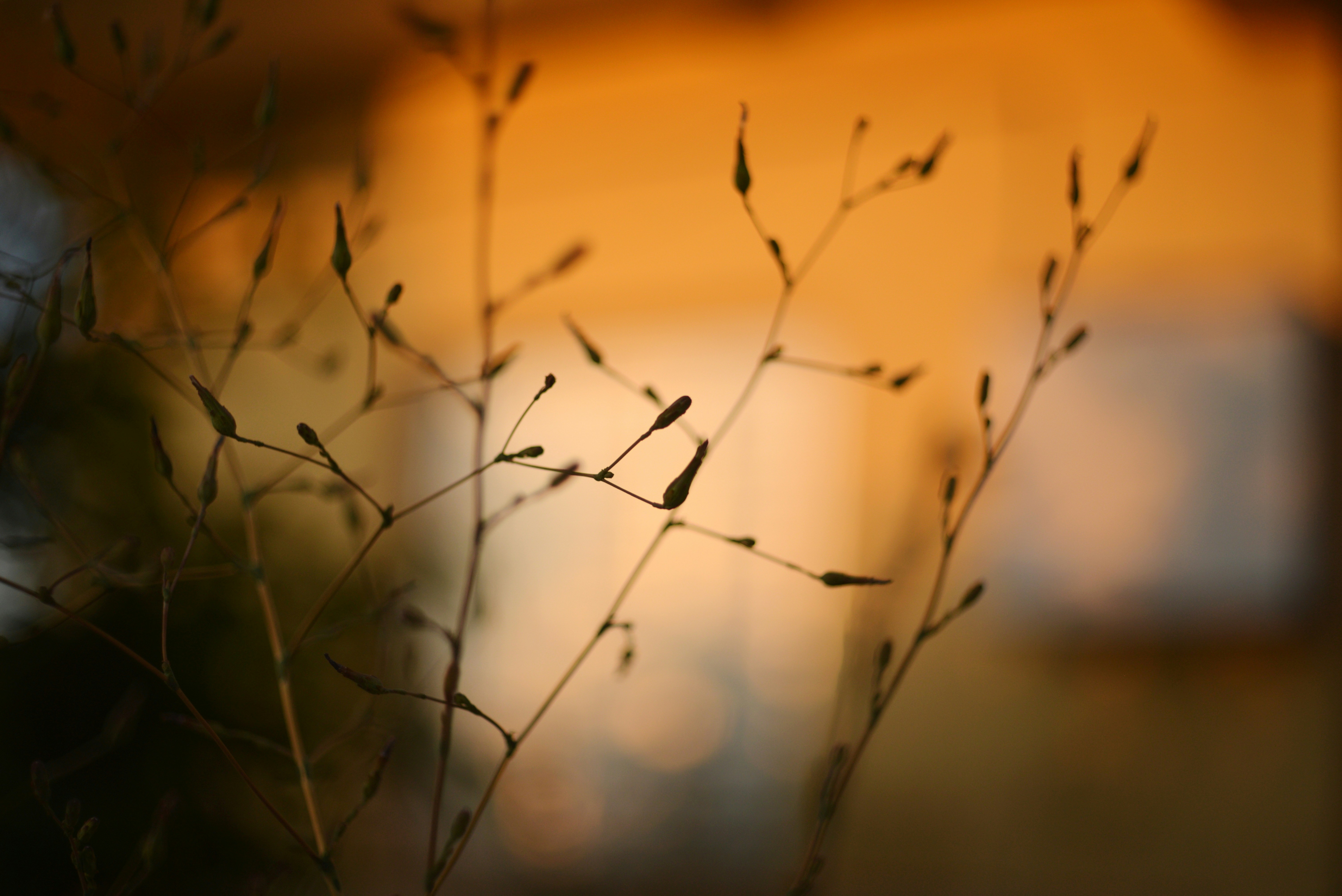 Photo by cherstve_pechivo