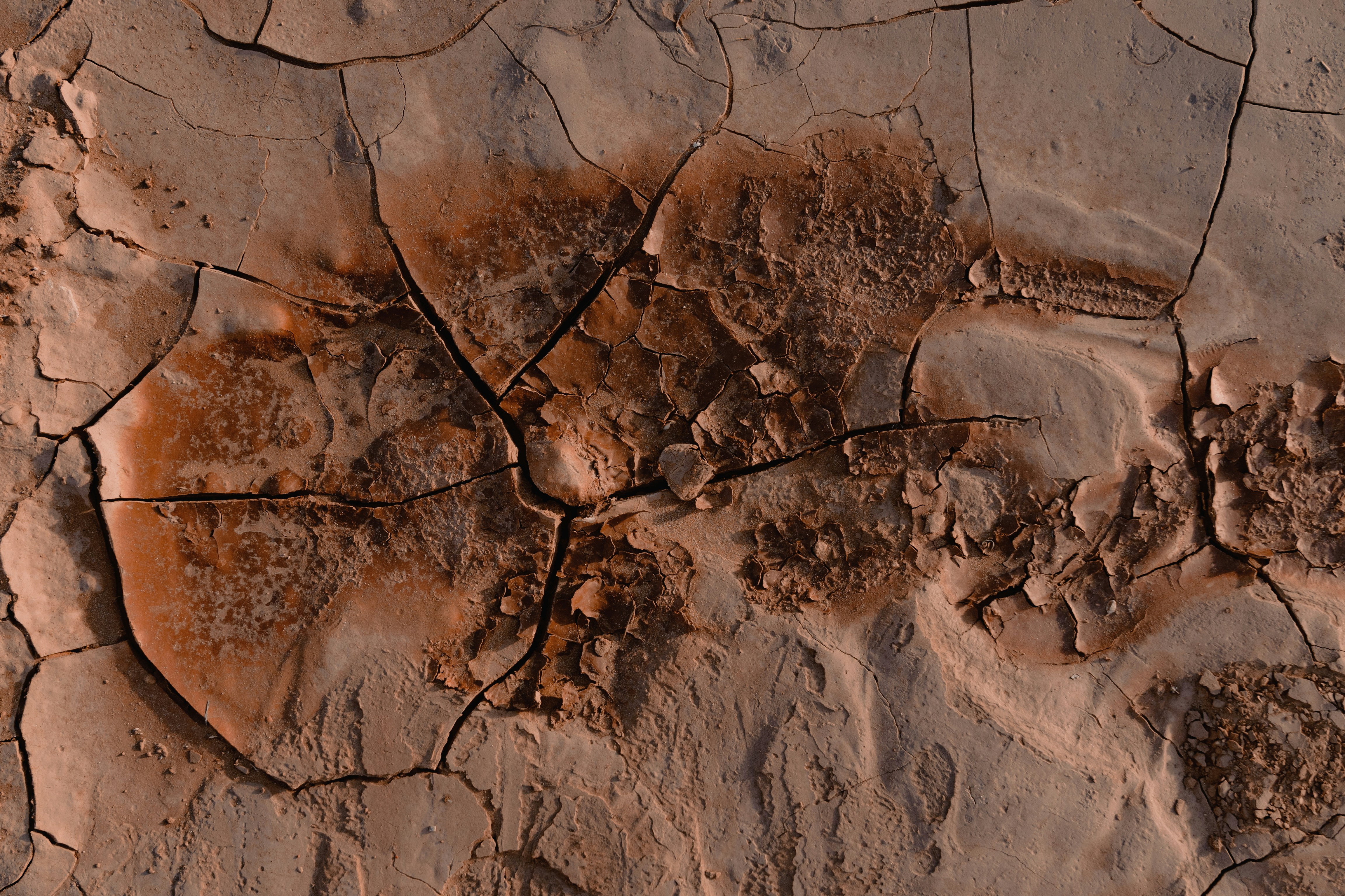 carter atau sewa dan juga persewaan boom lift masing-masing jam hari pt anugrah turunan besar