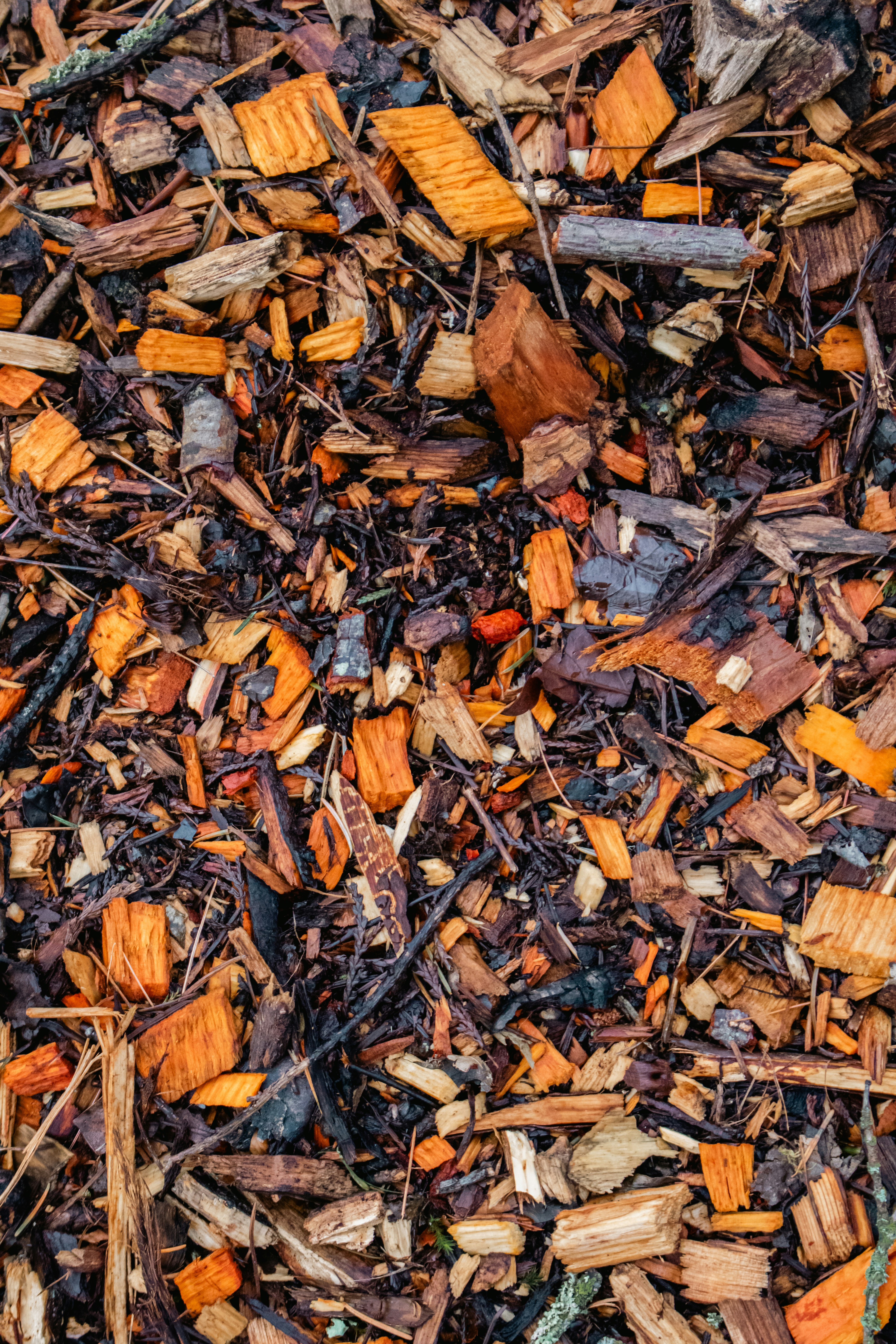 Photo by zoshuacolah