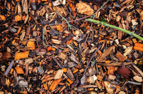 Wood chips and debris form a detailed textured background.