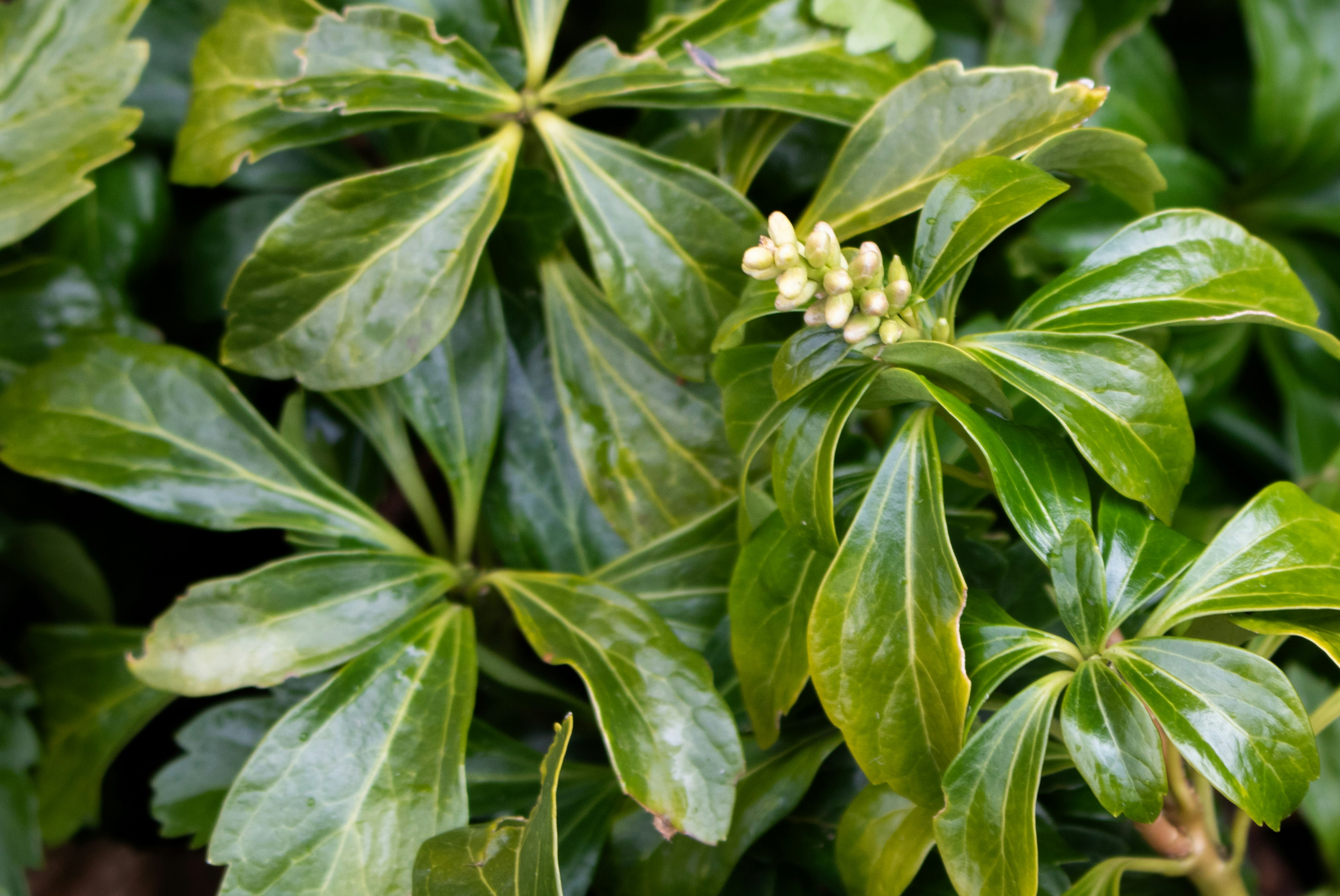 Photo by zoshuacolah