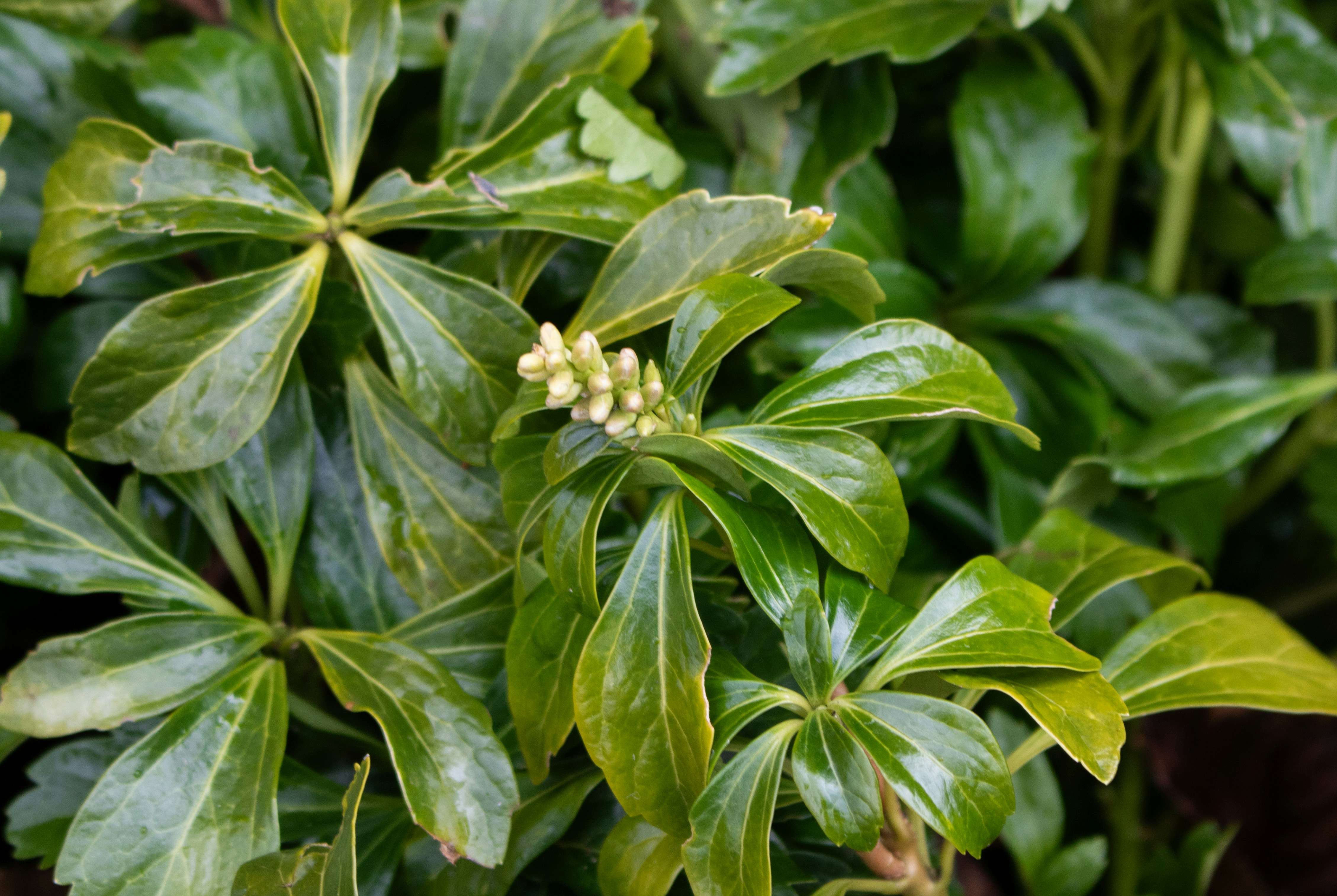 Photo by zoshuacolah