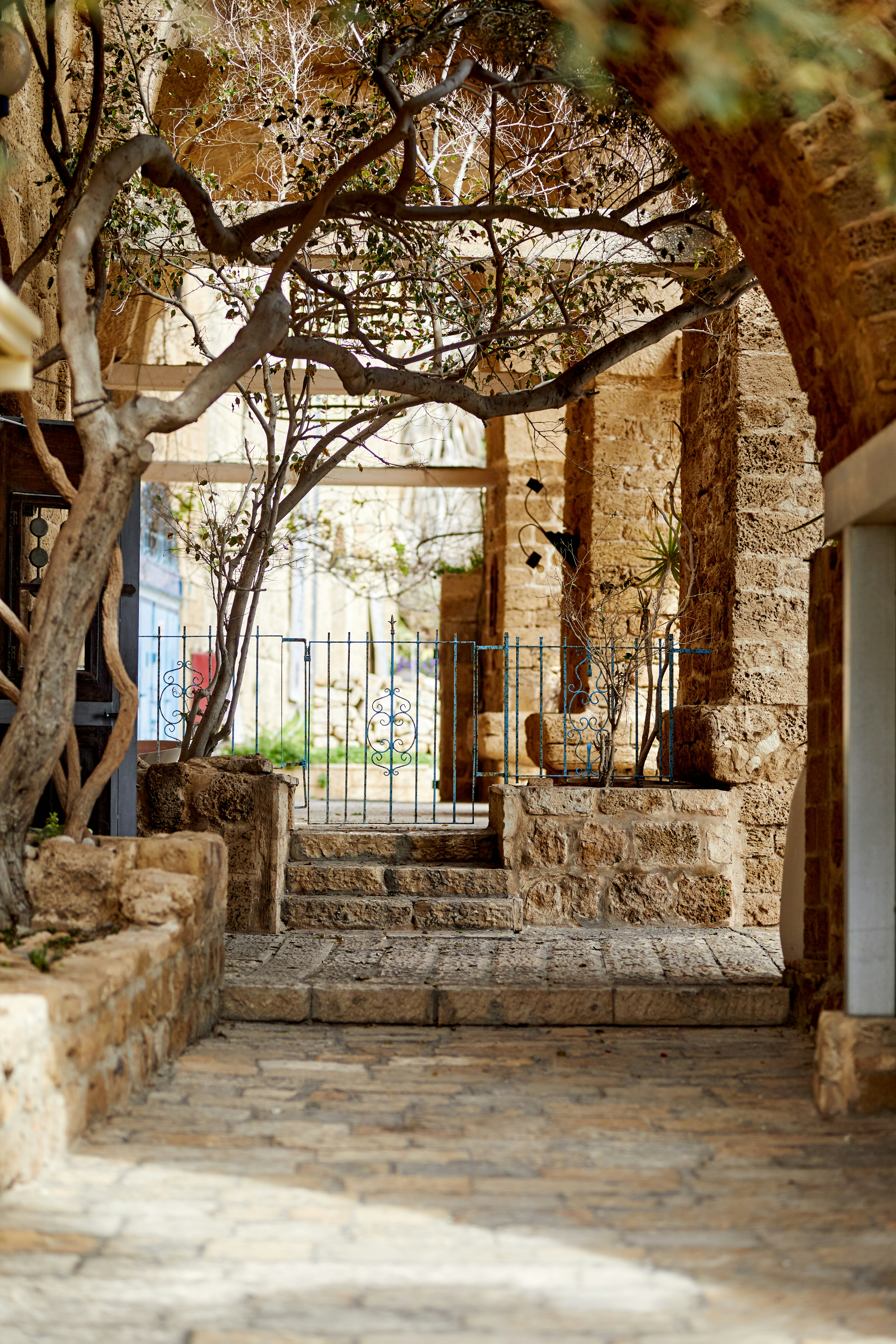 Photo by learnwithjoel