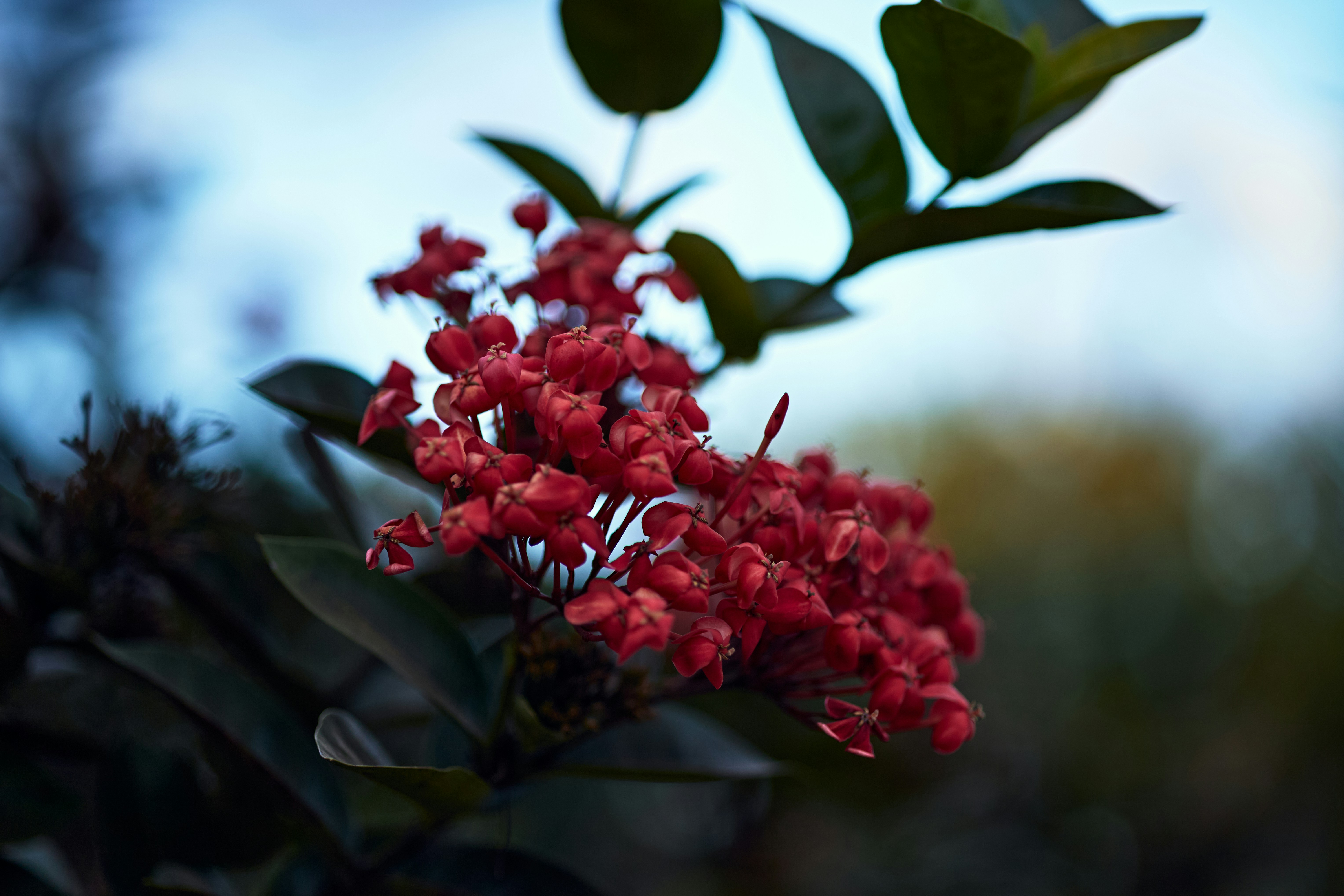 Photo by rrodriguesim