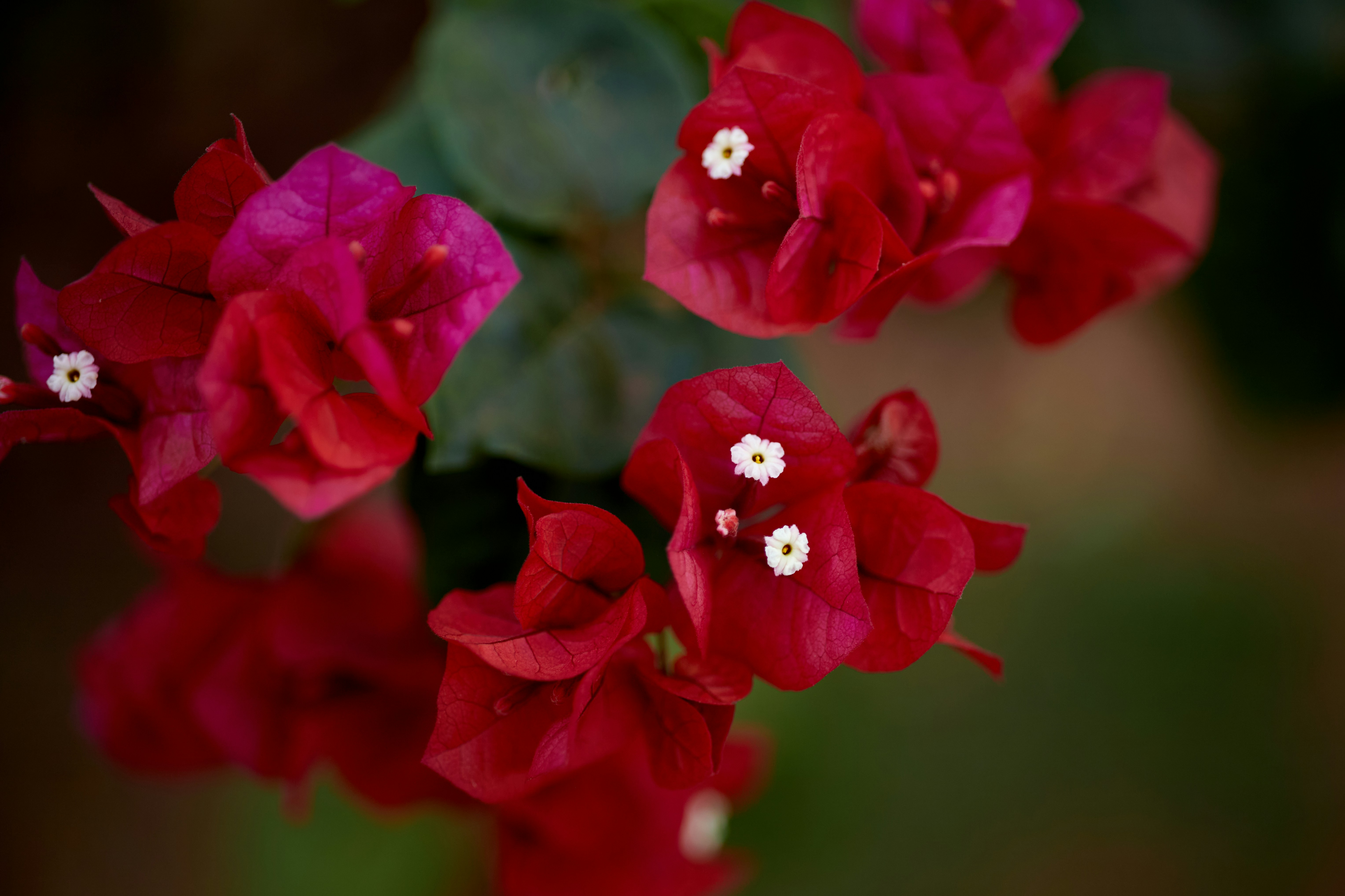 Photo by rrodriguesim