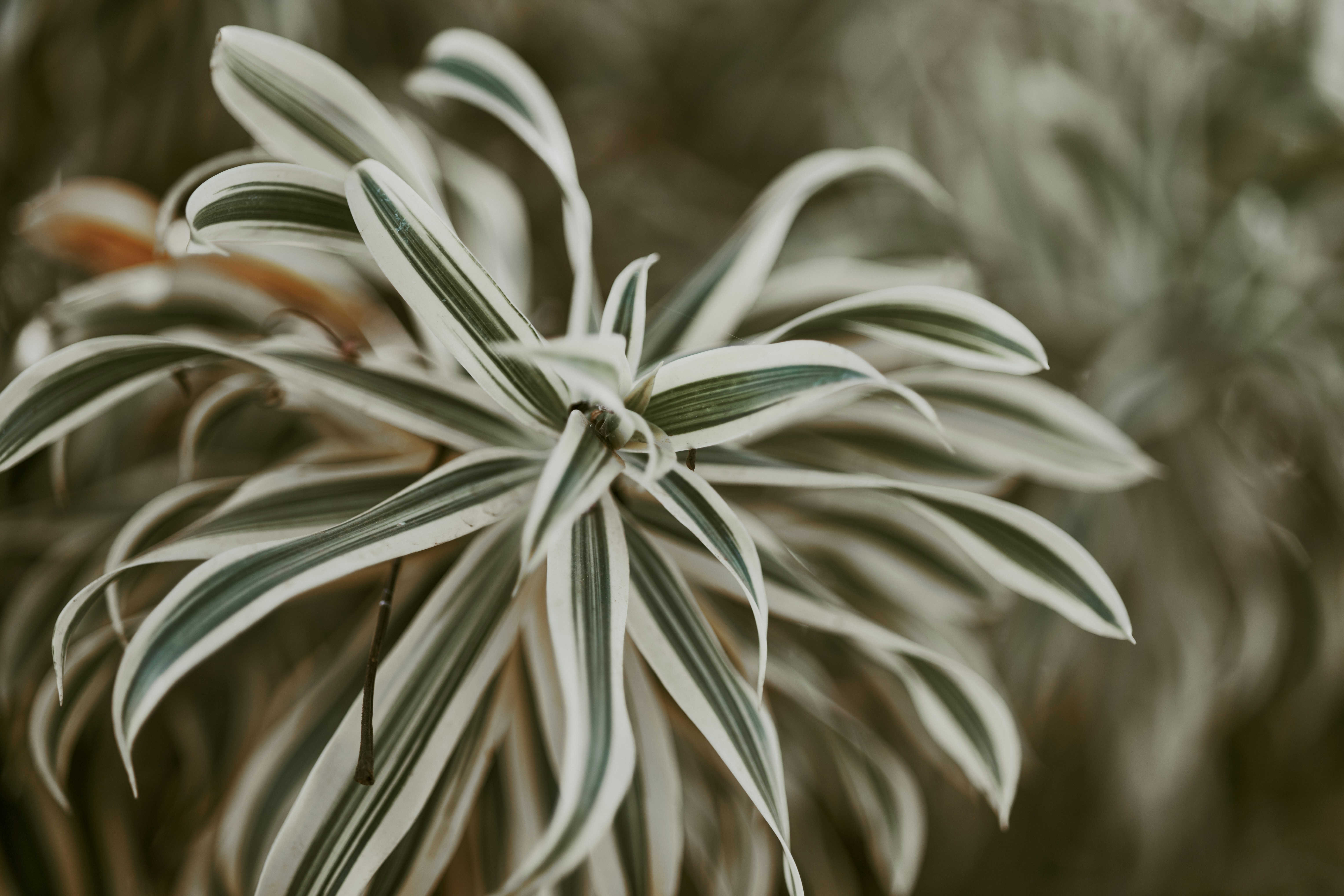 Photo by rrodriguesim