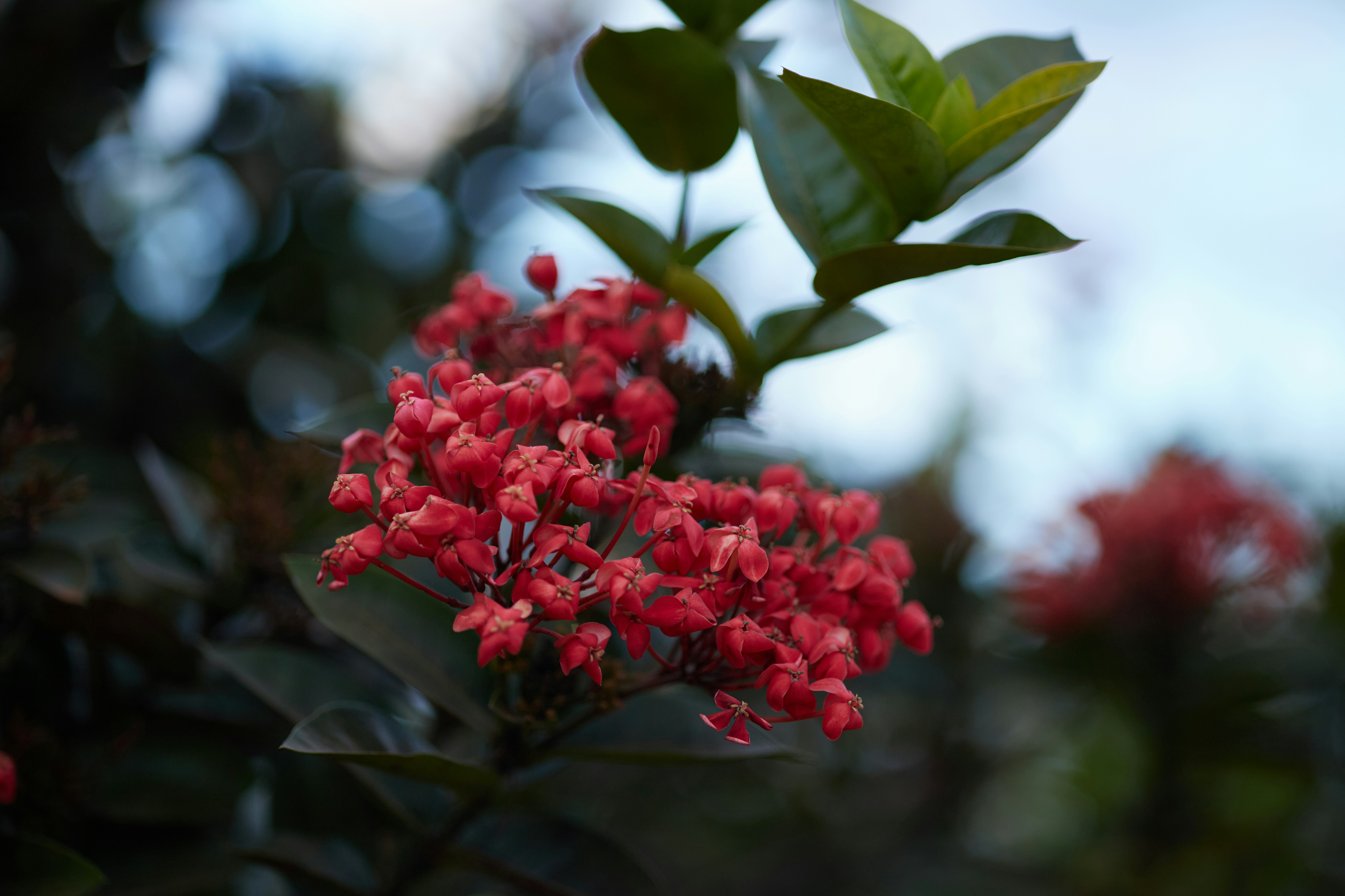 Photo by rrodriguesim