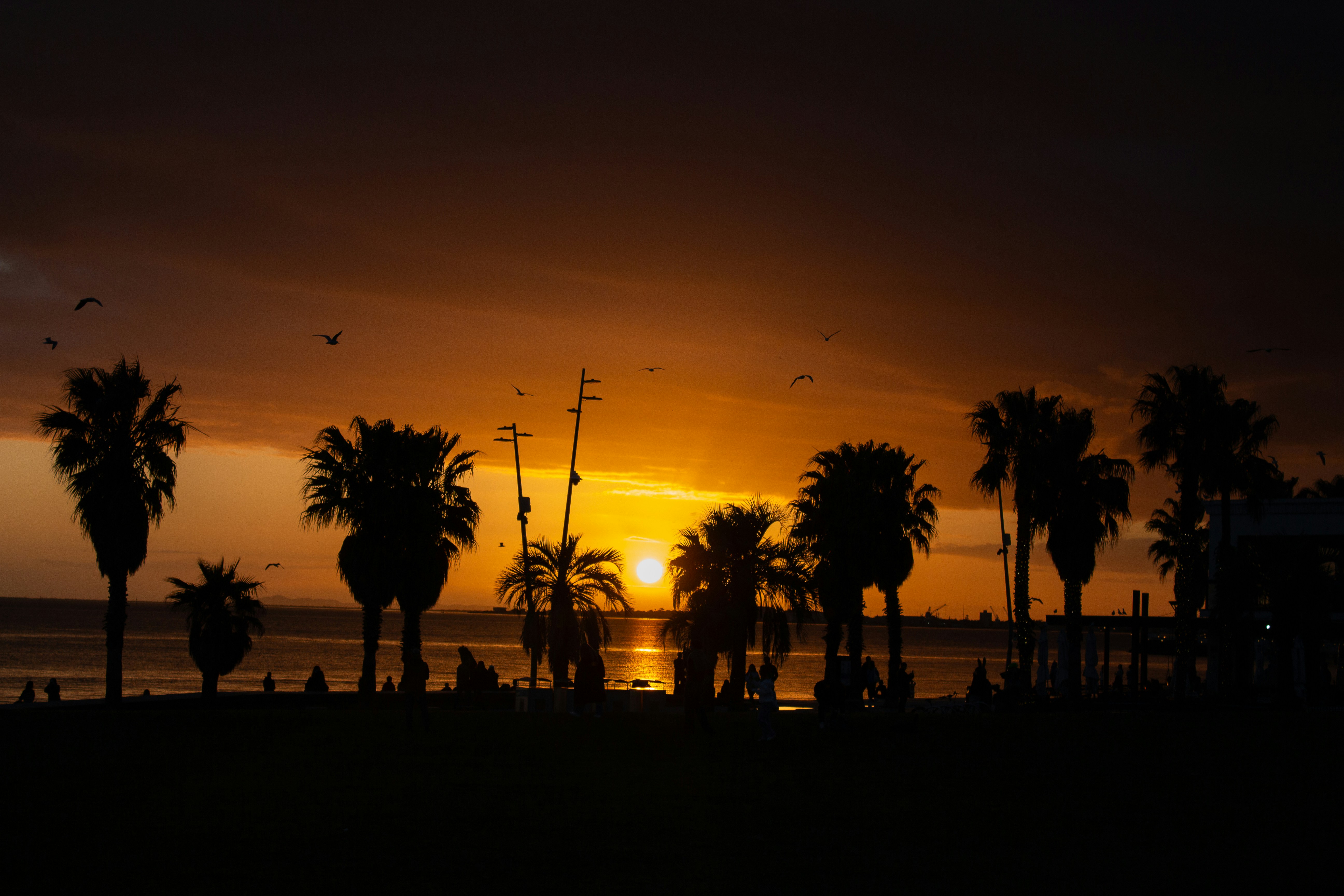 Photo by harjas_hora