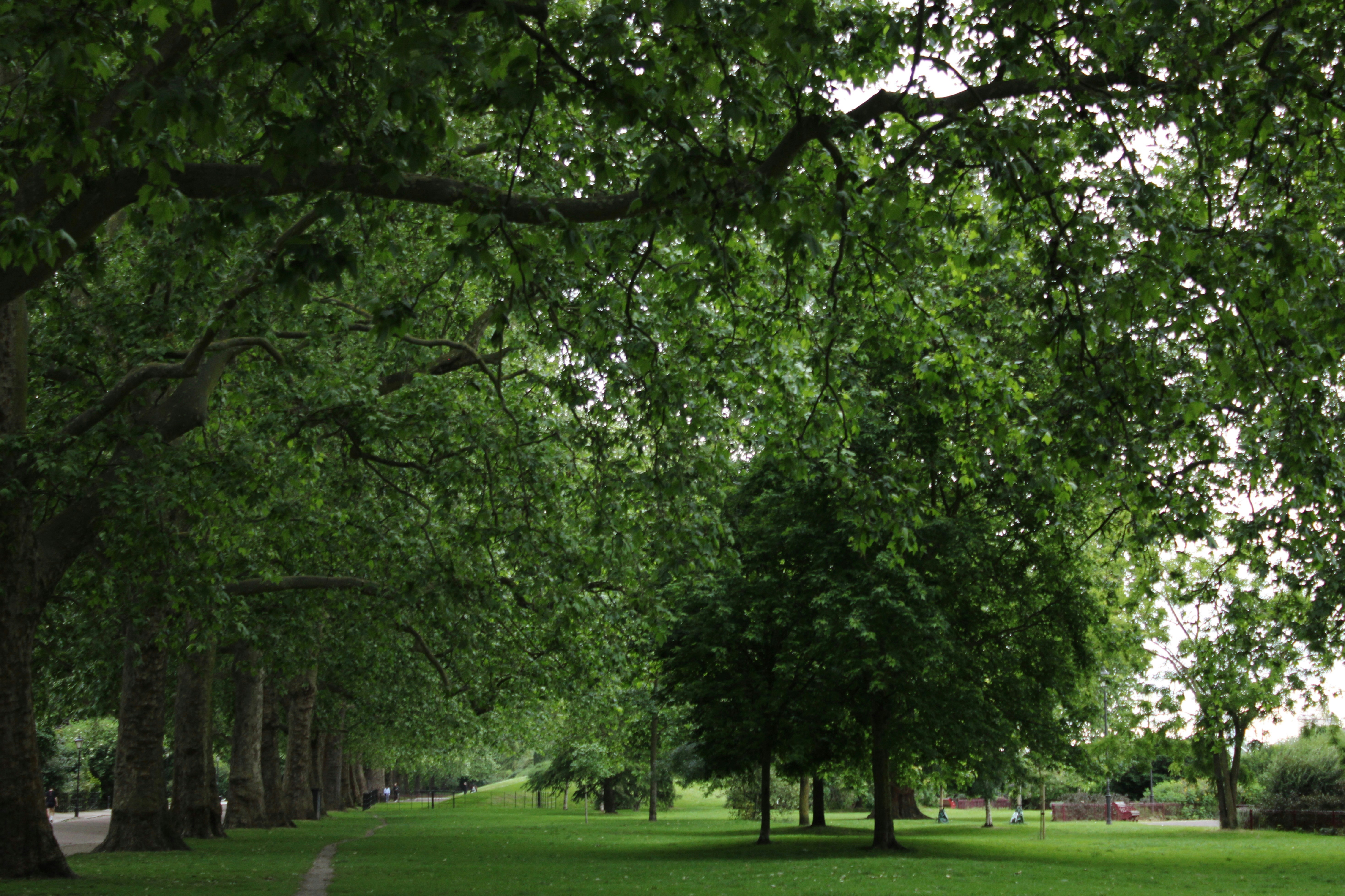 Photo by priyankachechi29