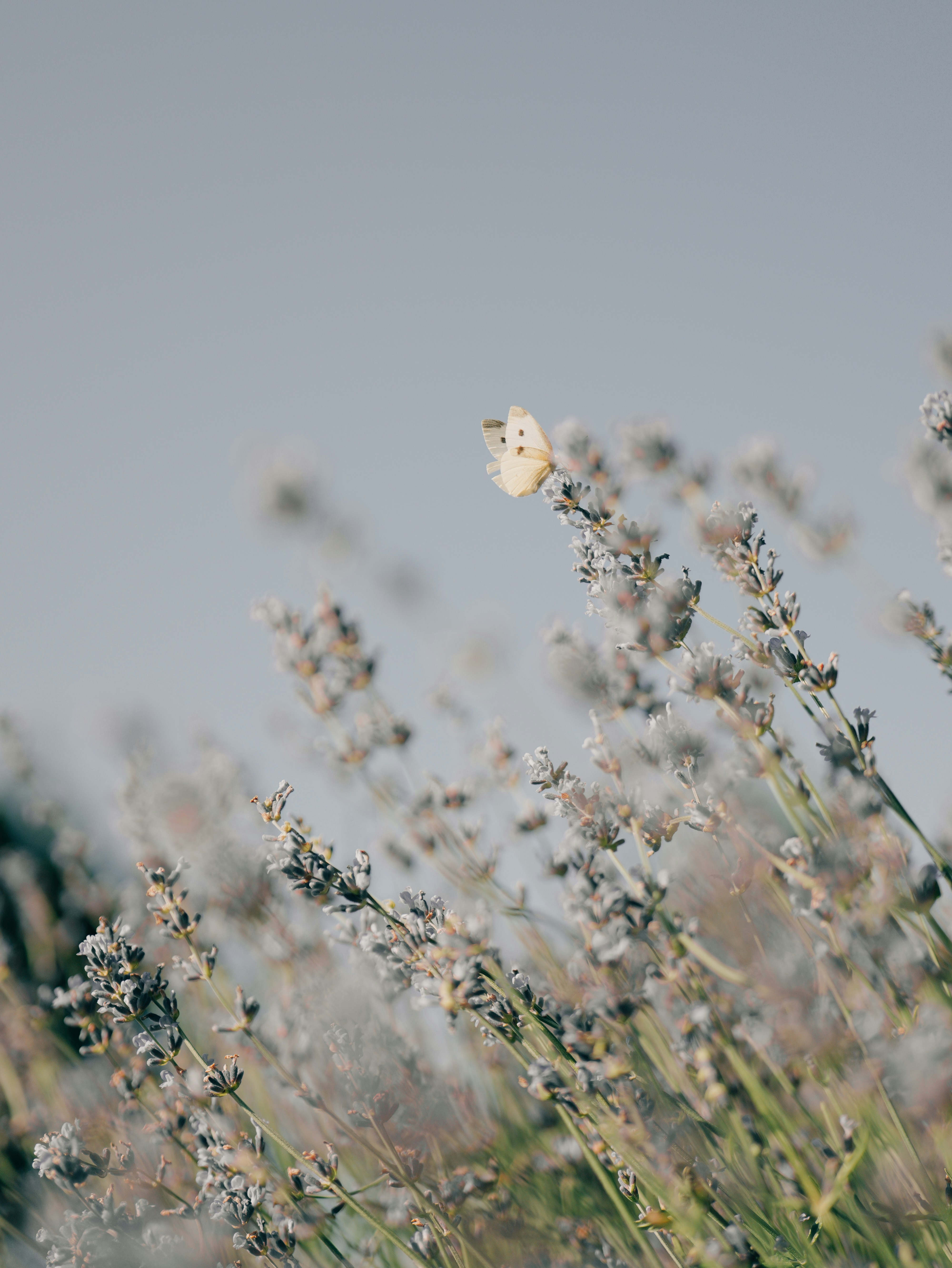 Photo by aaronburden