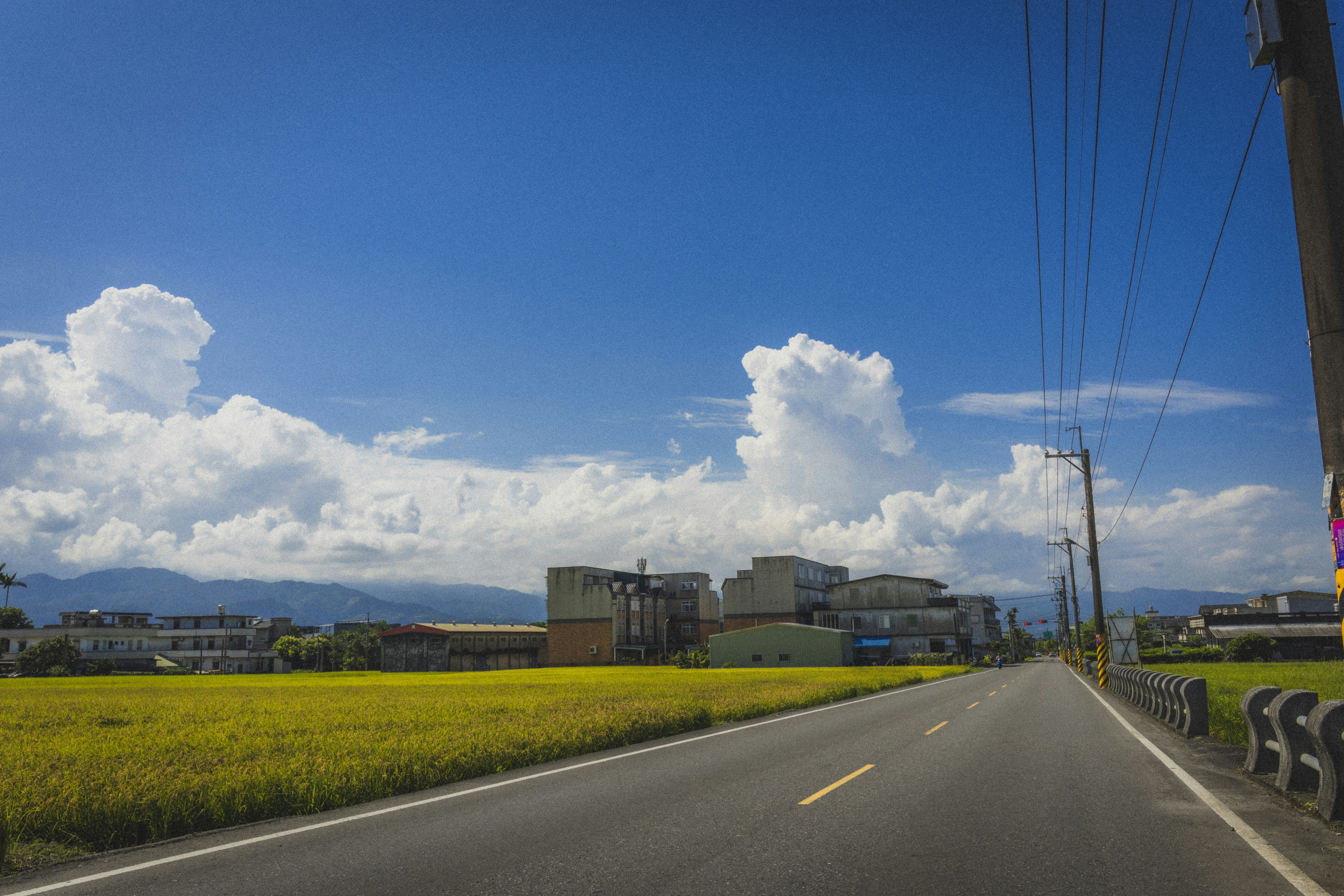 Okinawa On Wheels Menu