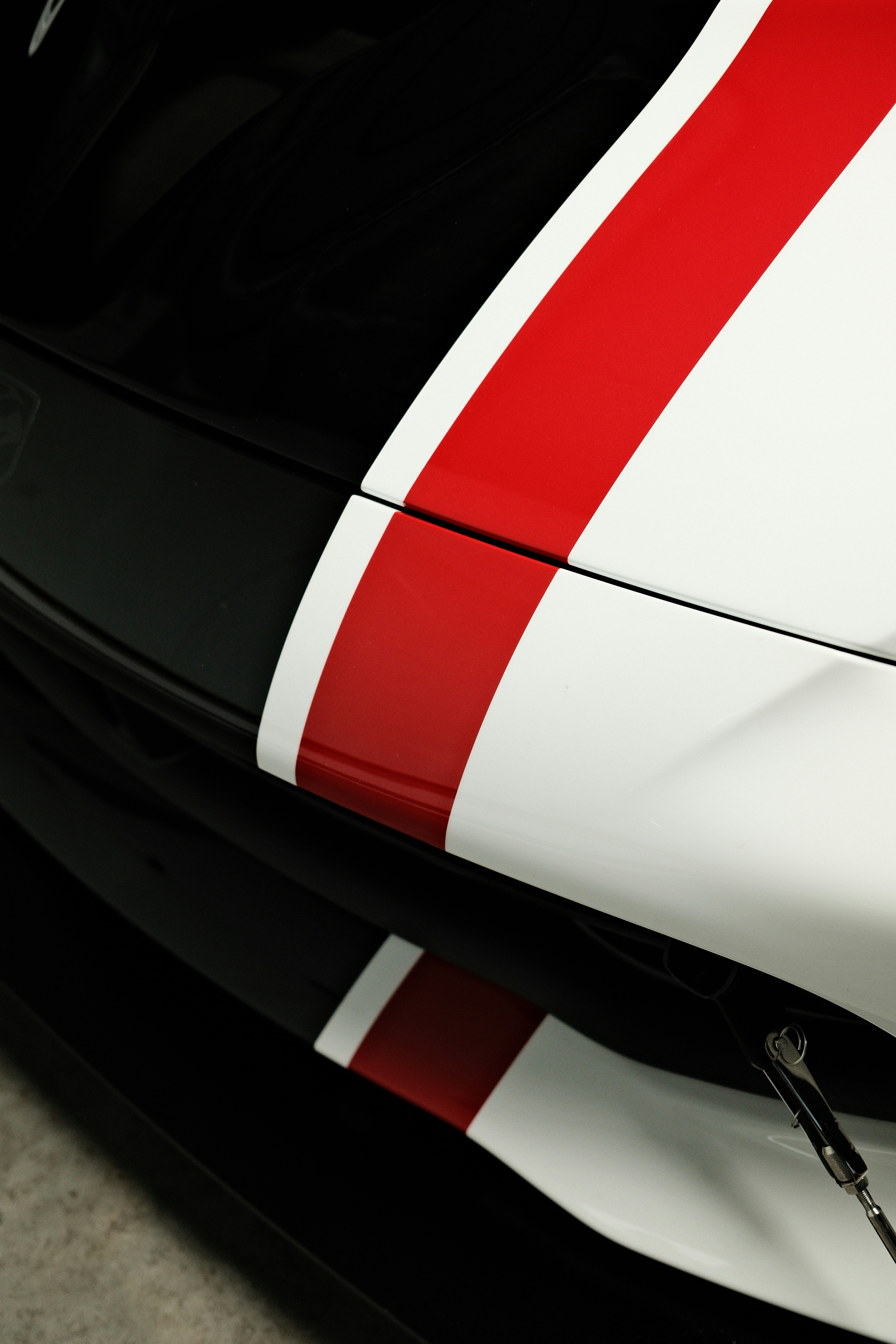 Photo by travisfishl