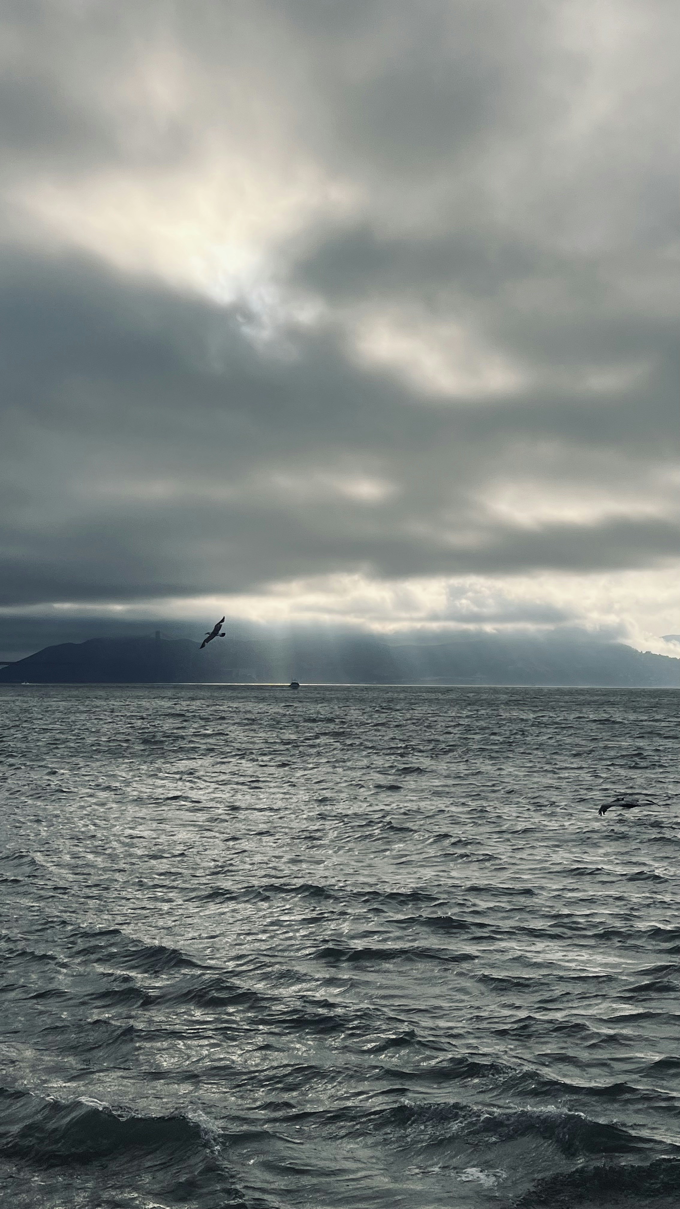 Photo by Vishwasa Navada K