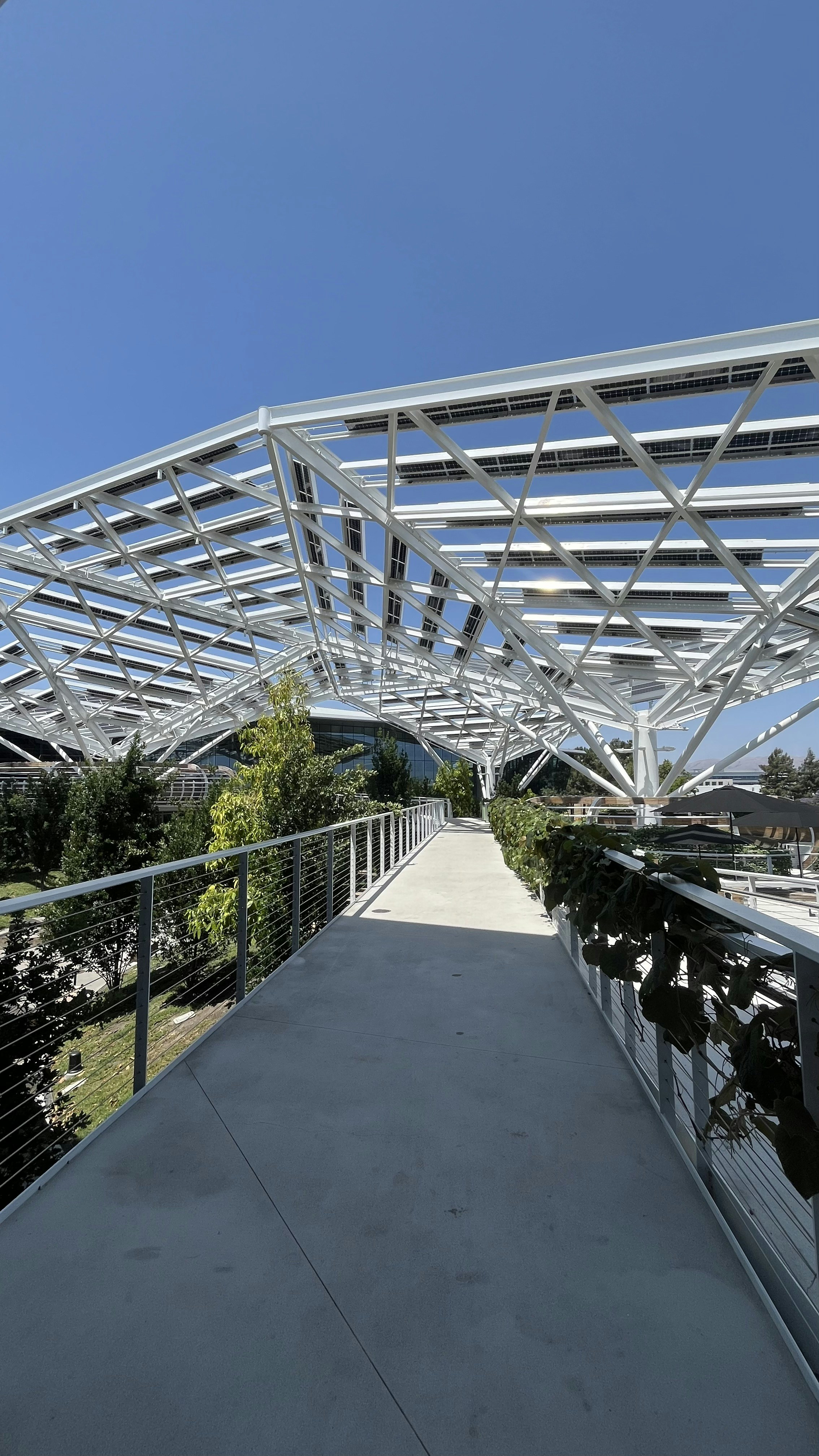 Photo by Vishwasa Navada K