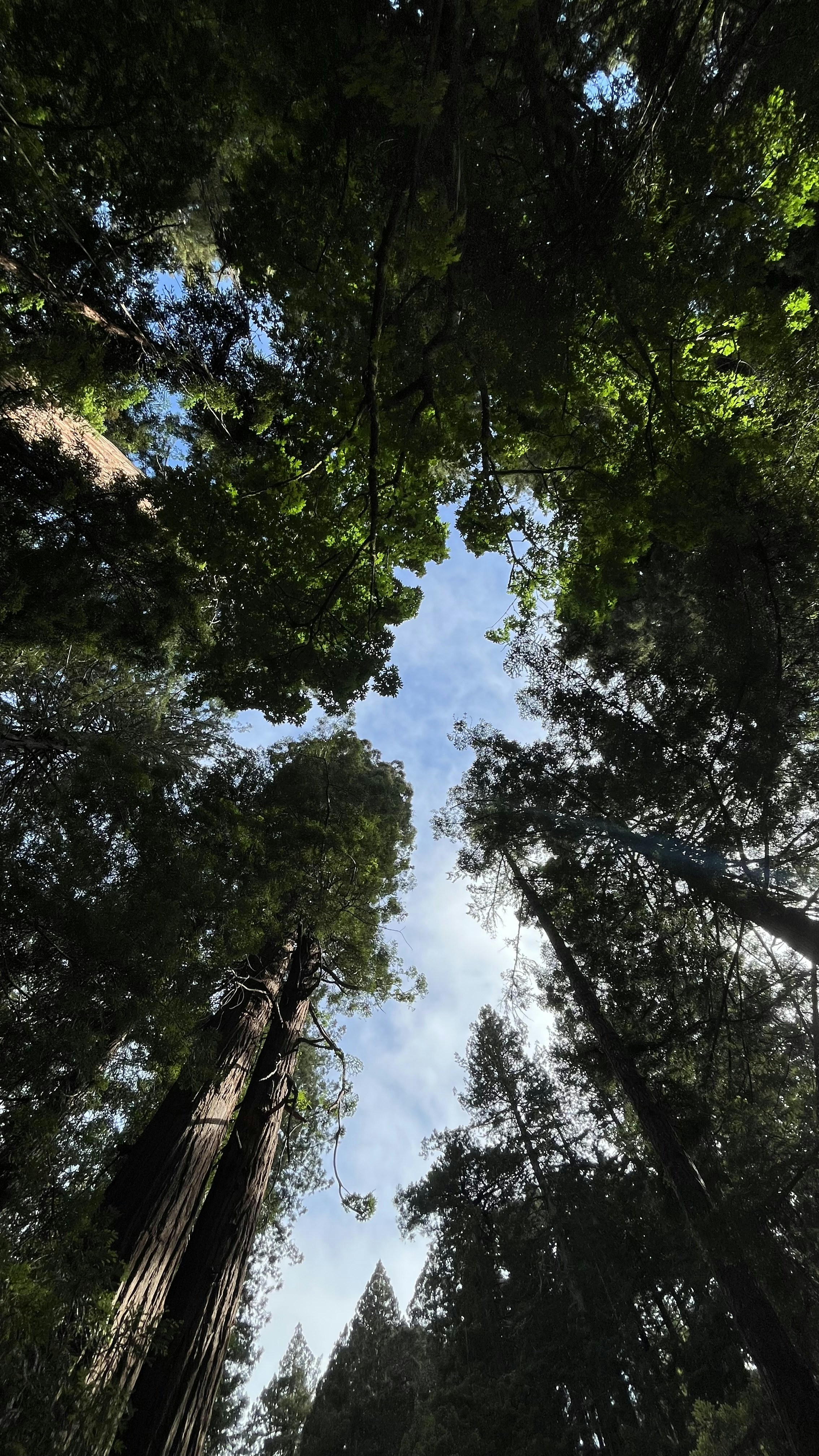 Photo by Vishwasa Navada K