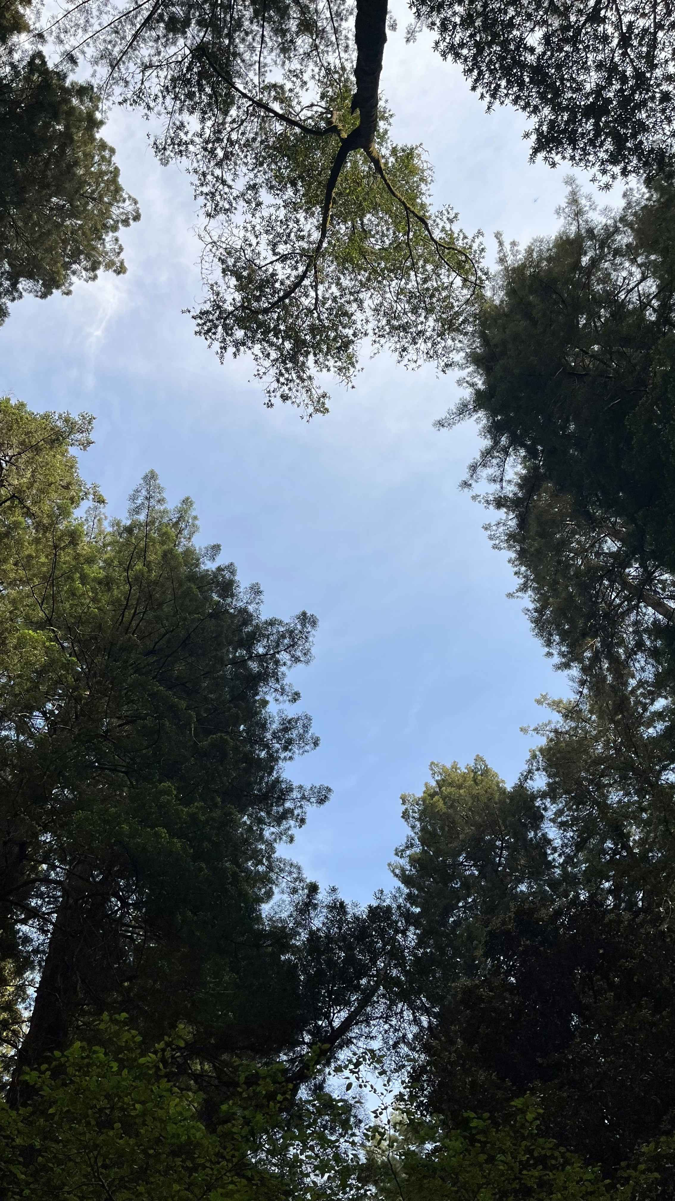 Photo by Vishwasa Navada K