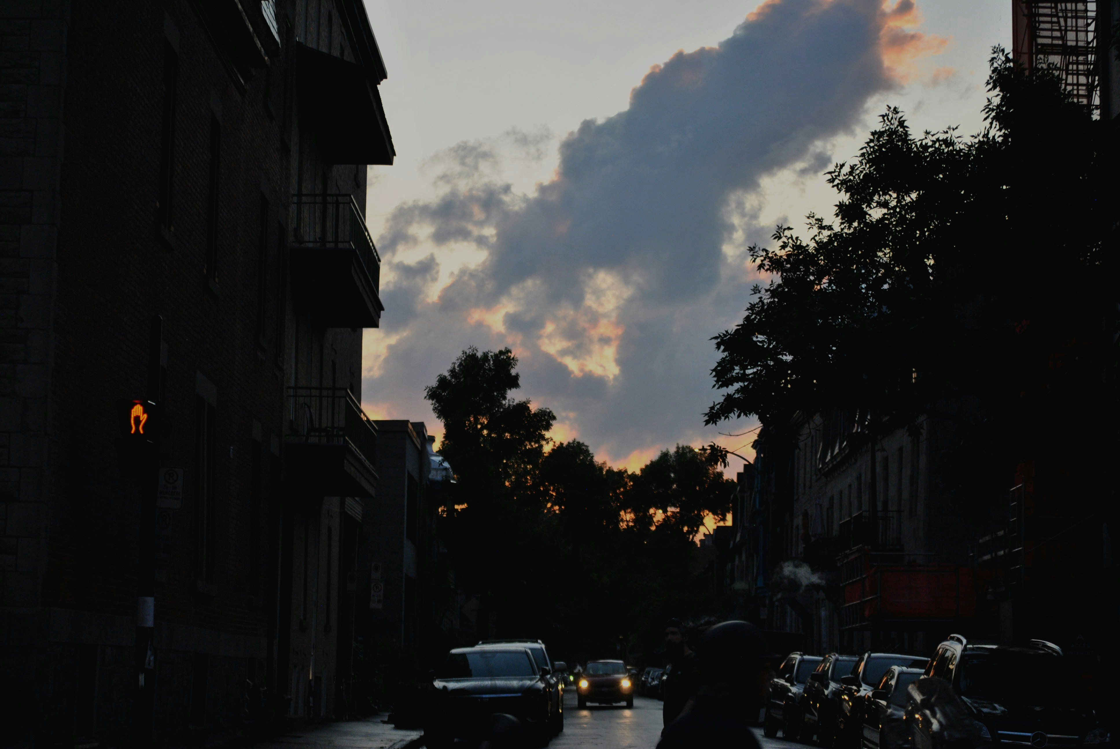 Photo by f1shf1sh