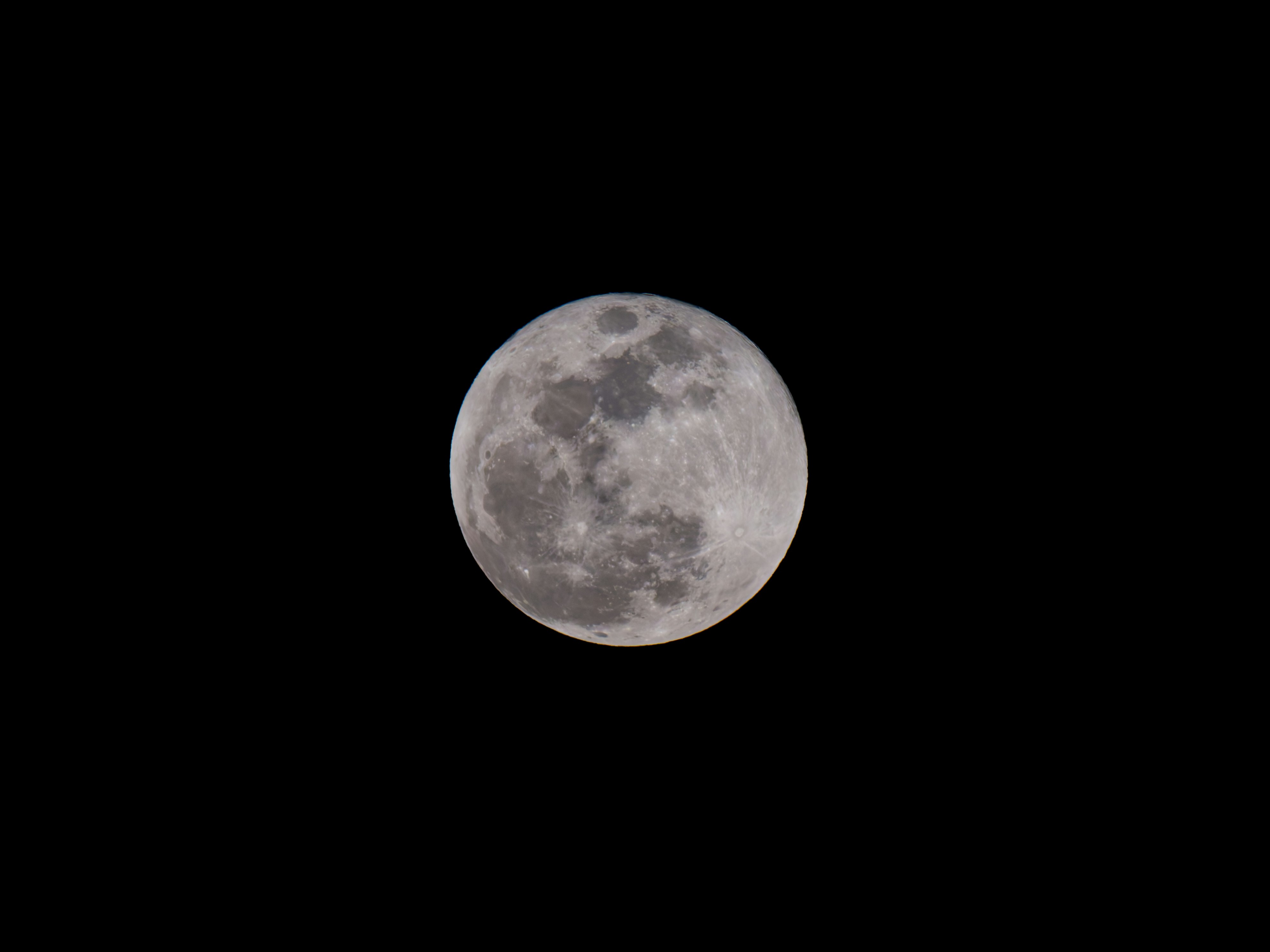 Photo by enginakyurt