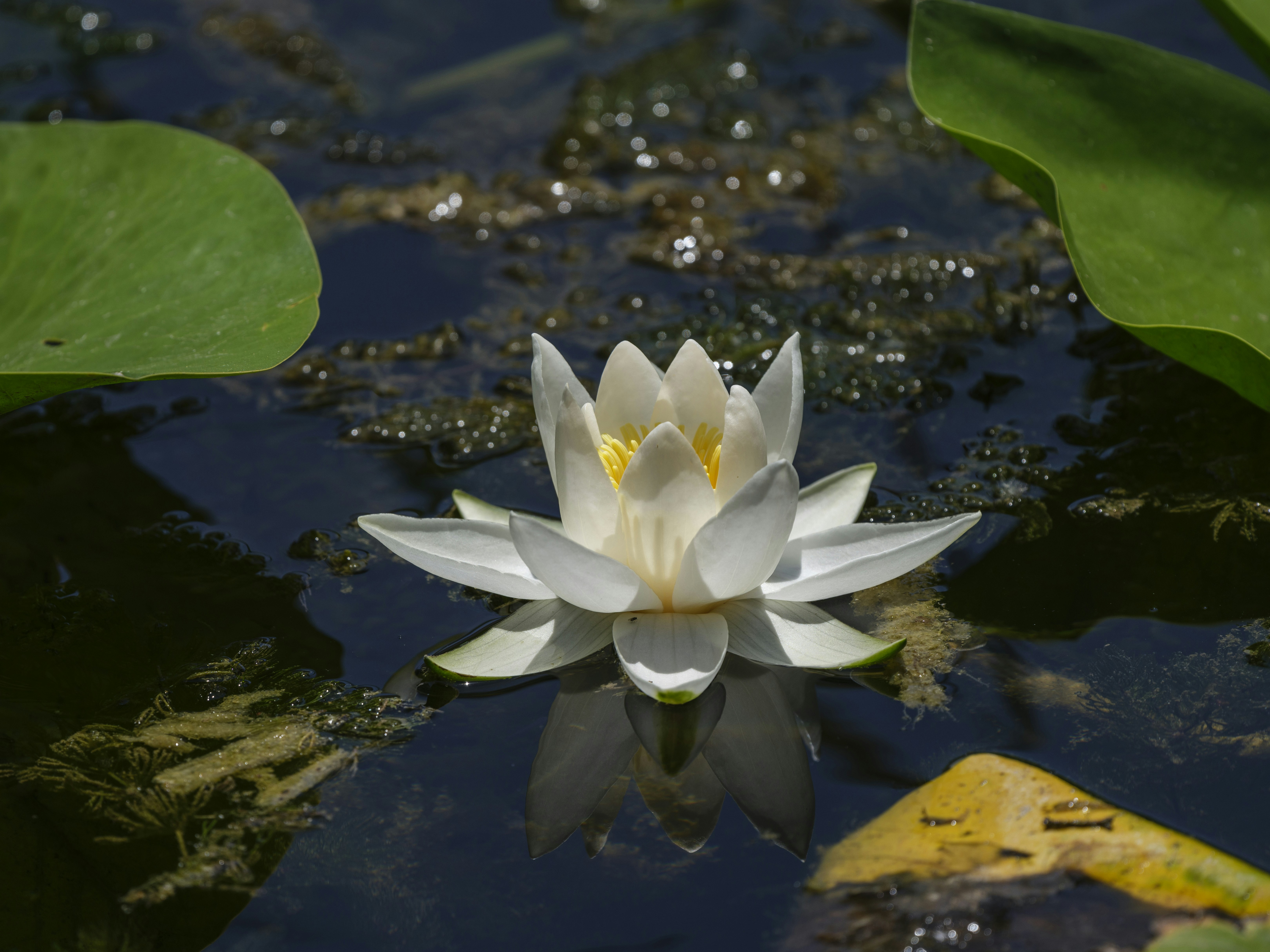 Photo by enginakyurt