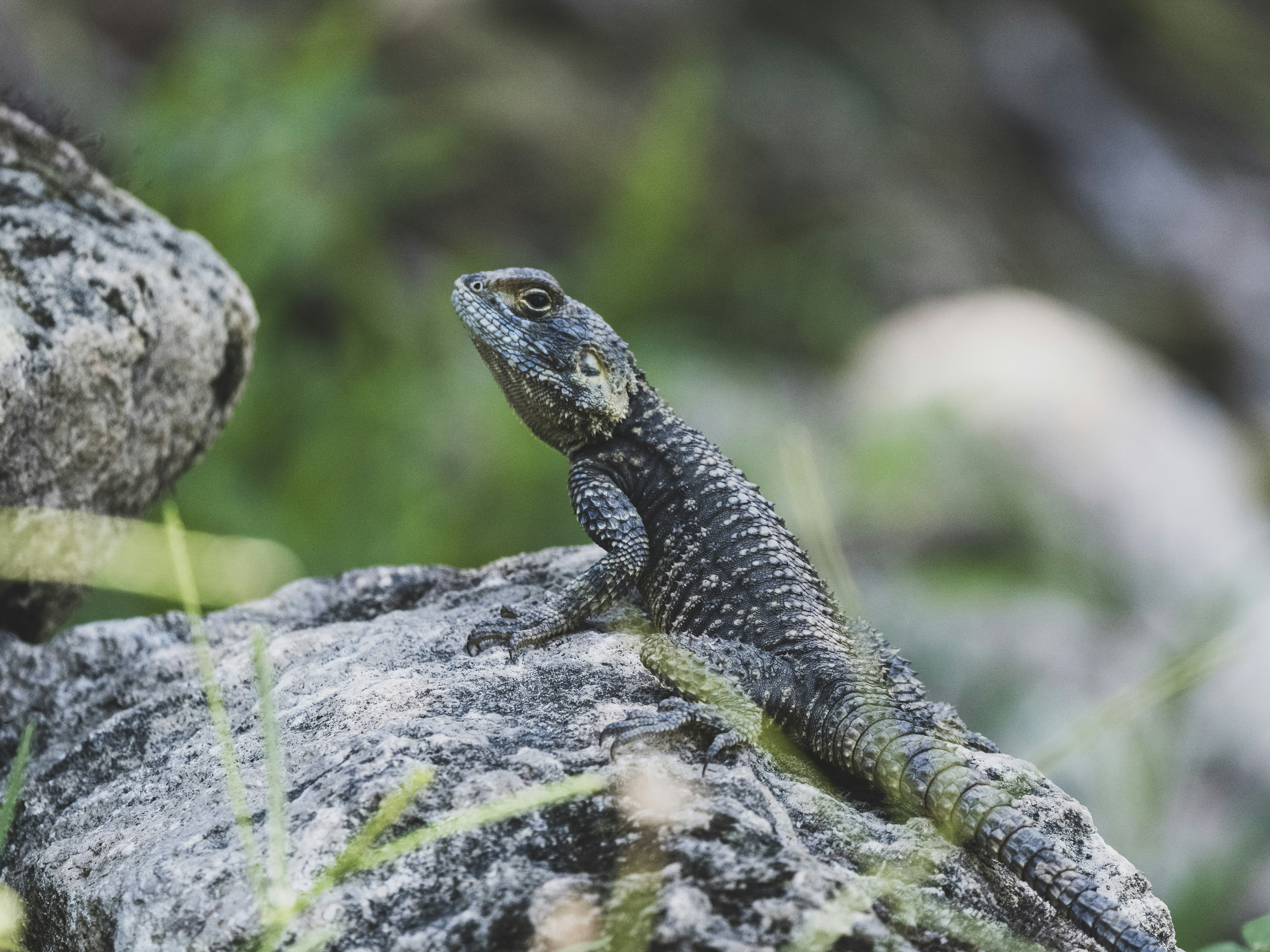 Photo by enginakyurt