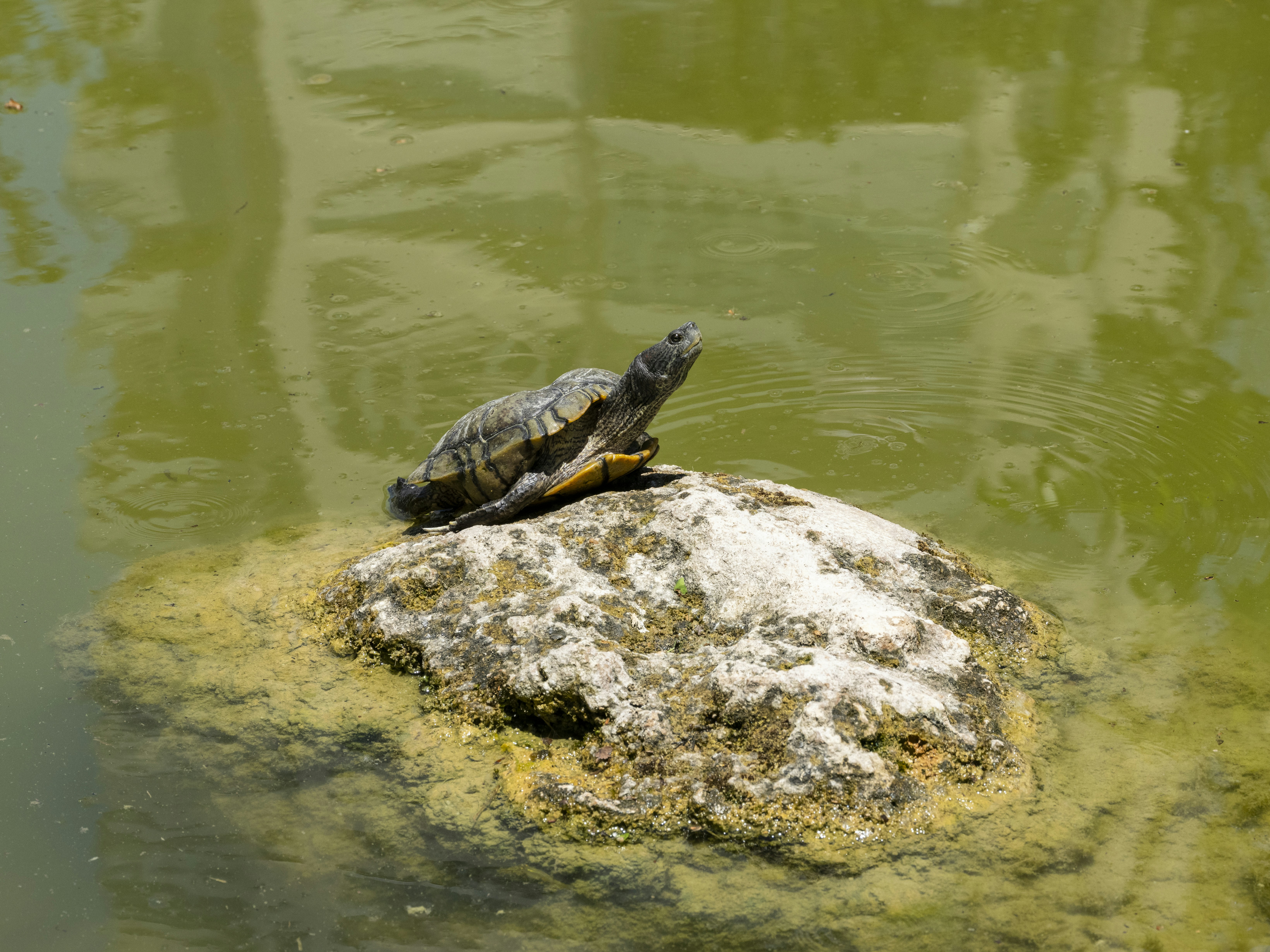 Photo by enginakyurt