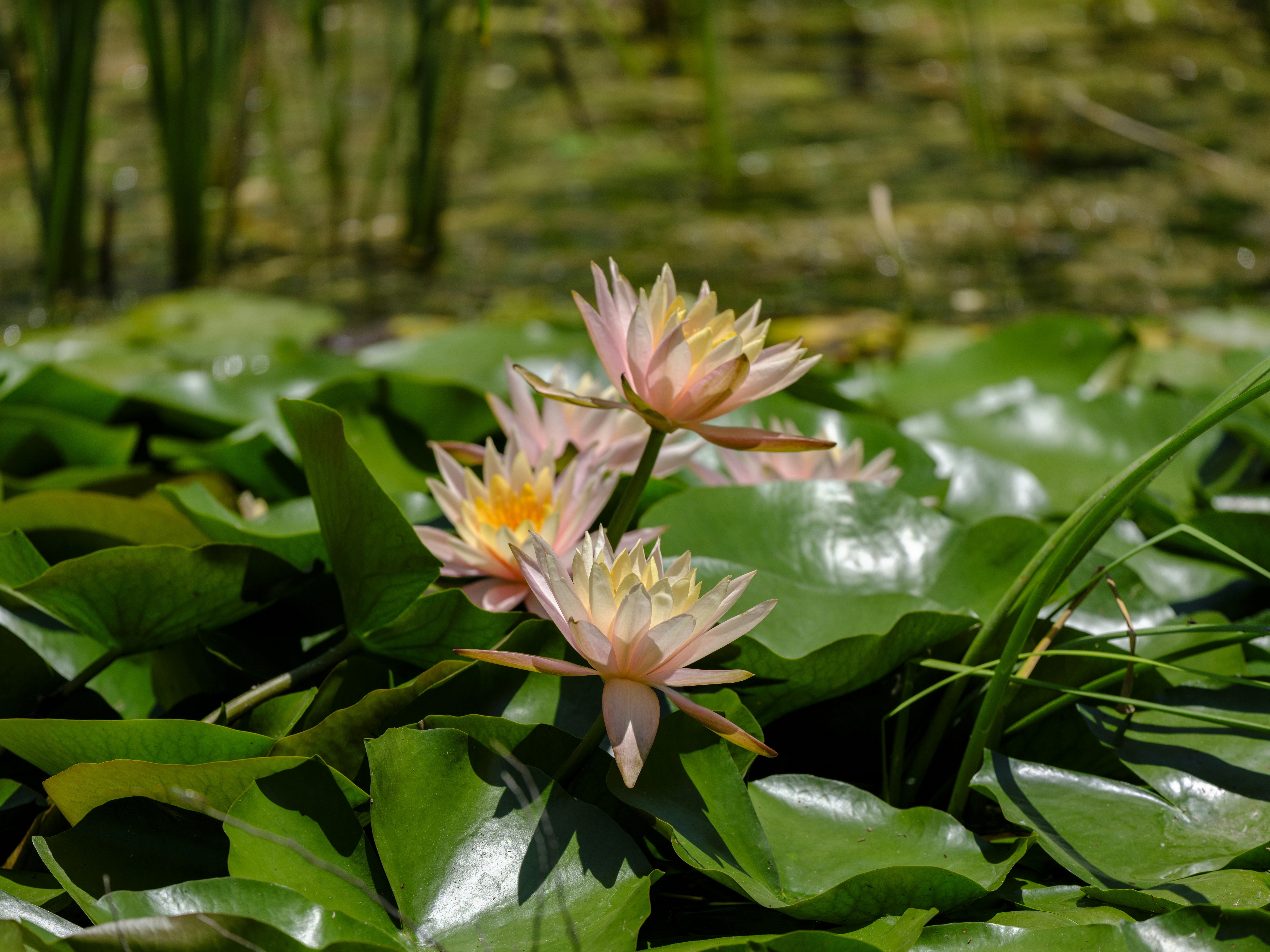 Photo by enginakyurt