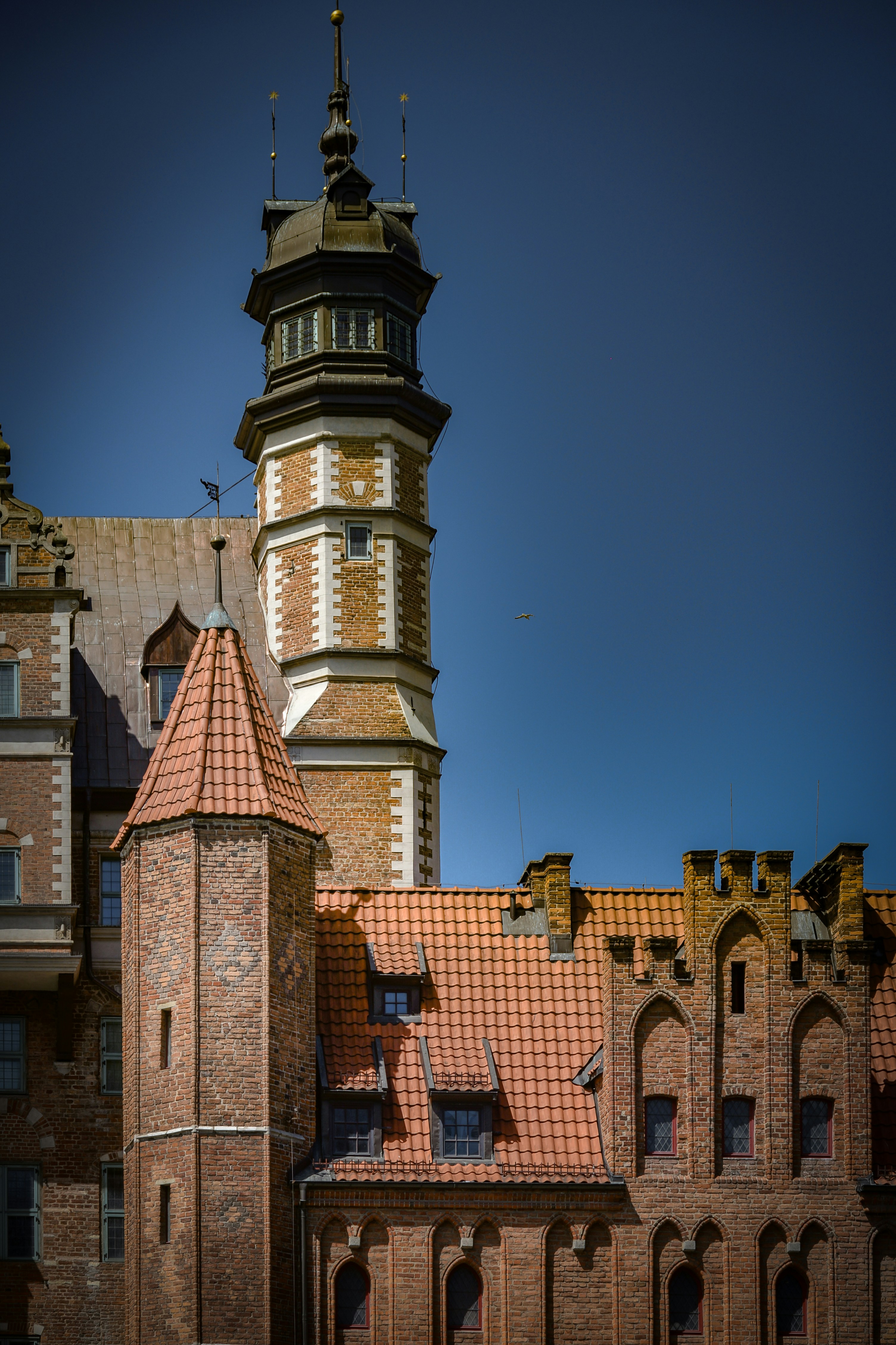 Photo by malwinanogaj