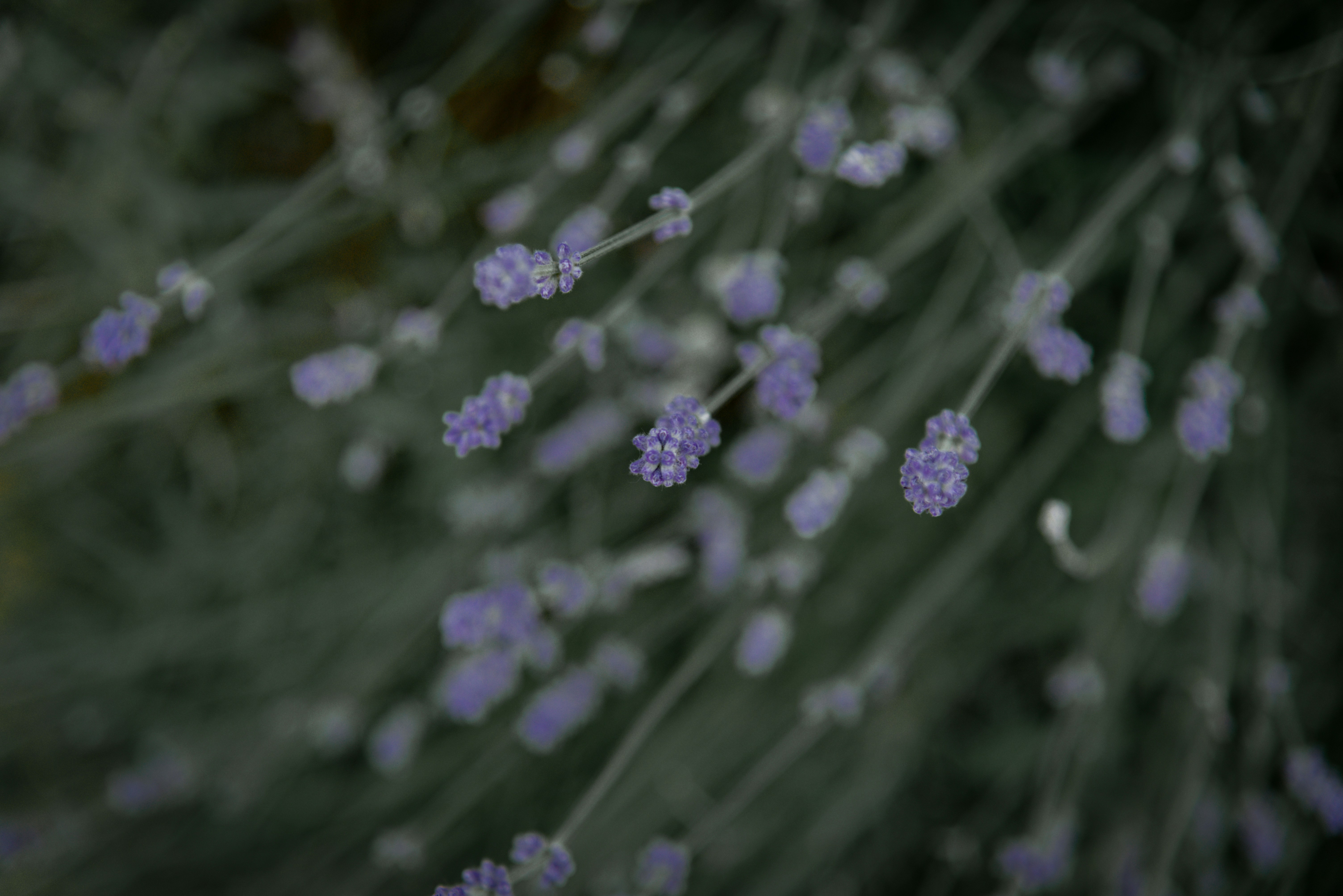 Photo by malwinanogaj