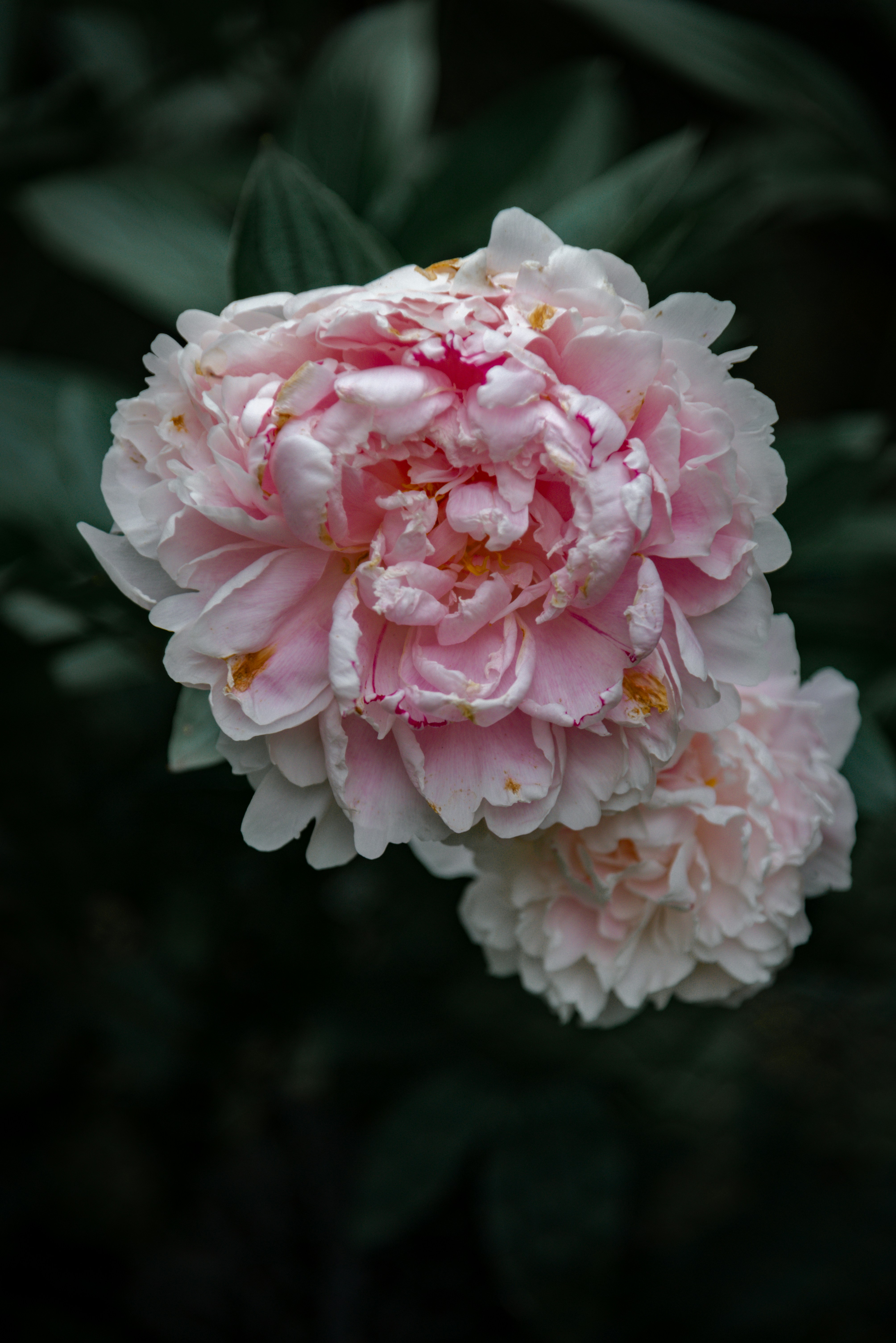 Photo by malwinanogaj