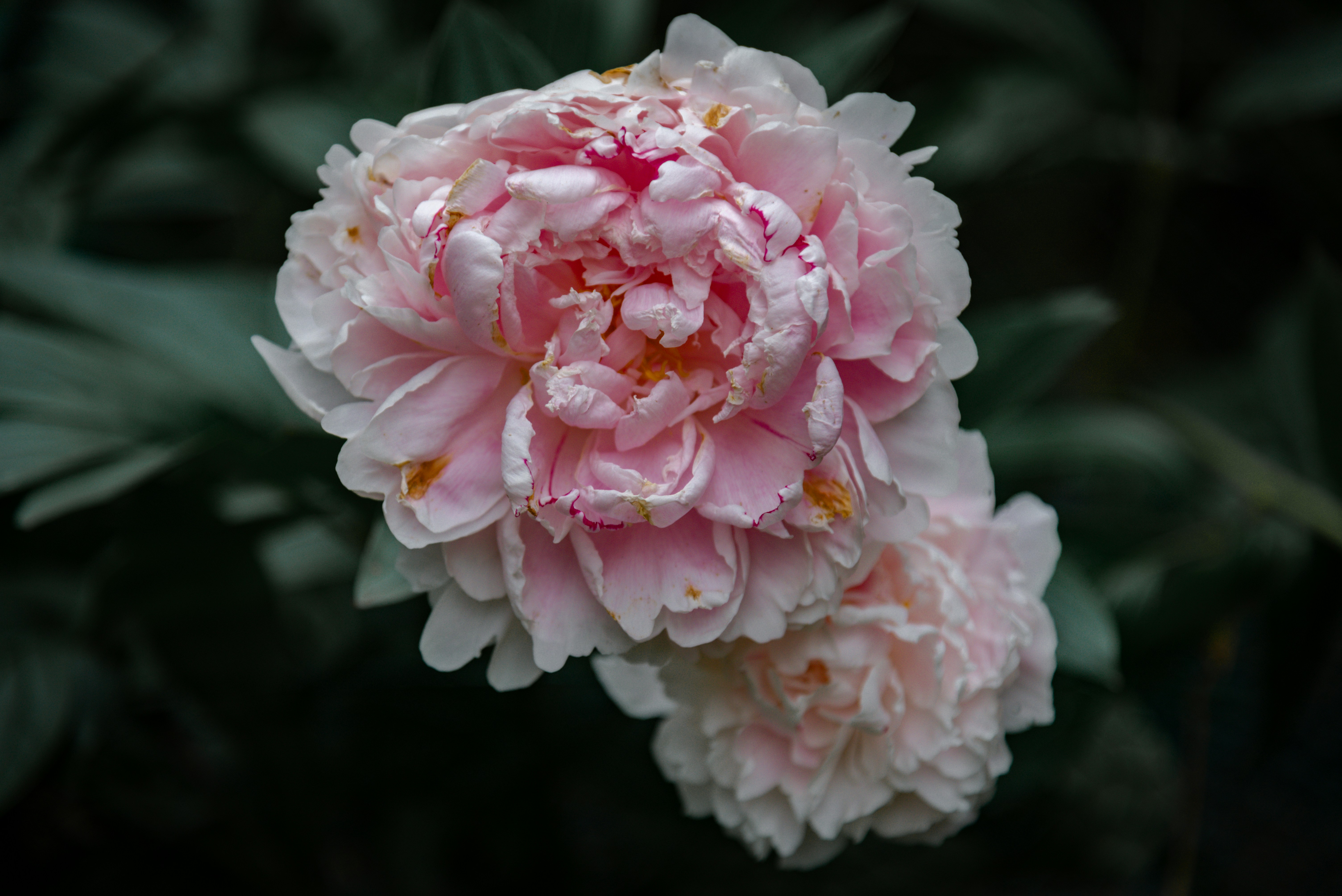 Photo by malwinanogaj