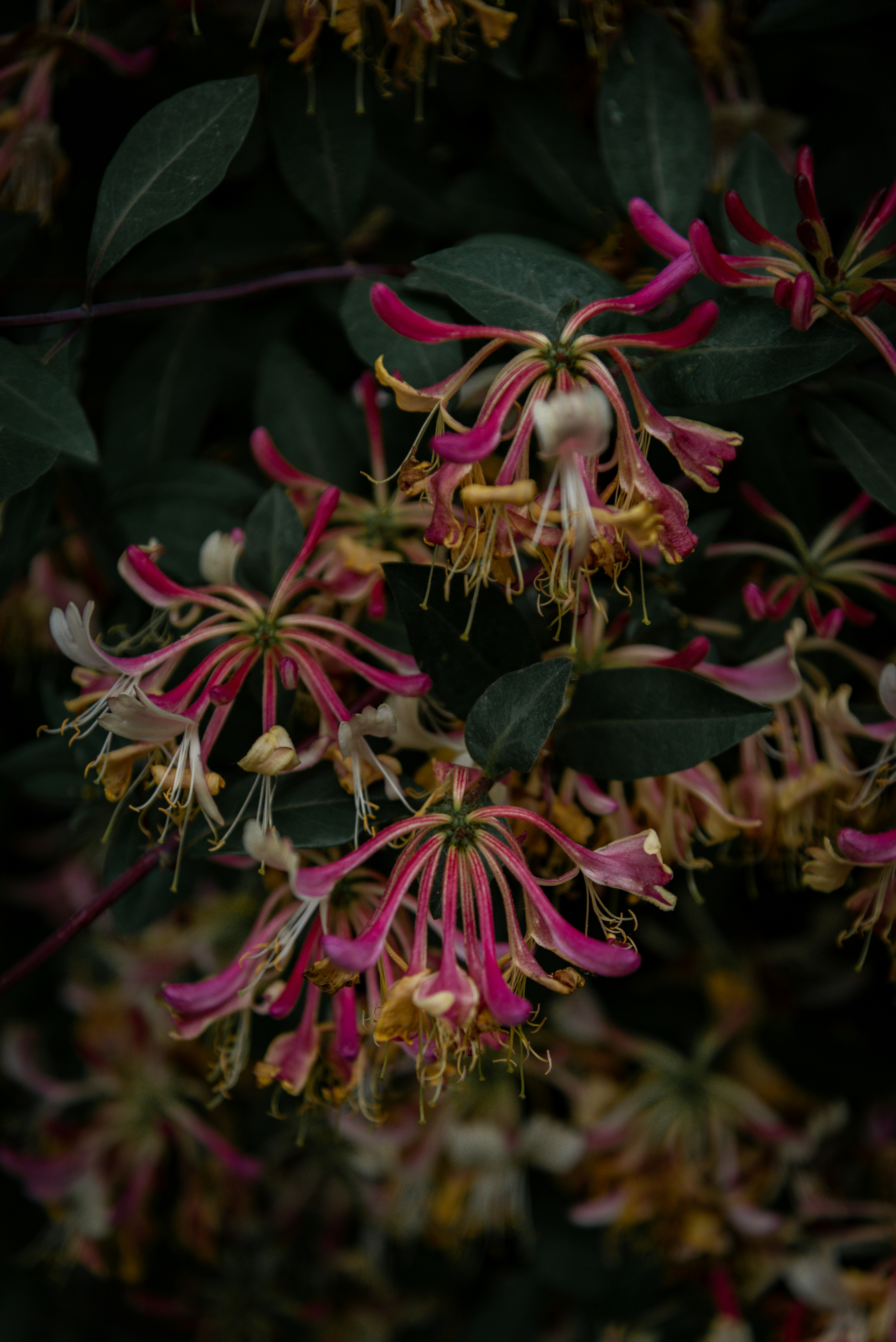 Photo by malwinanogaj