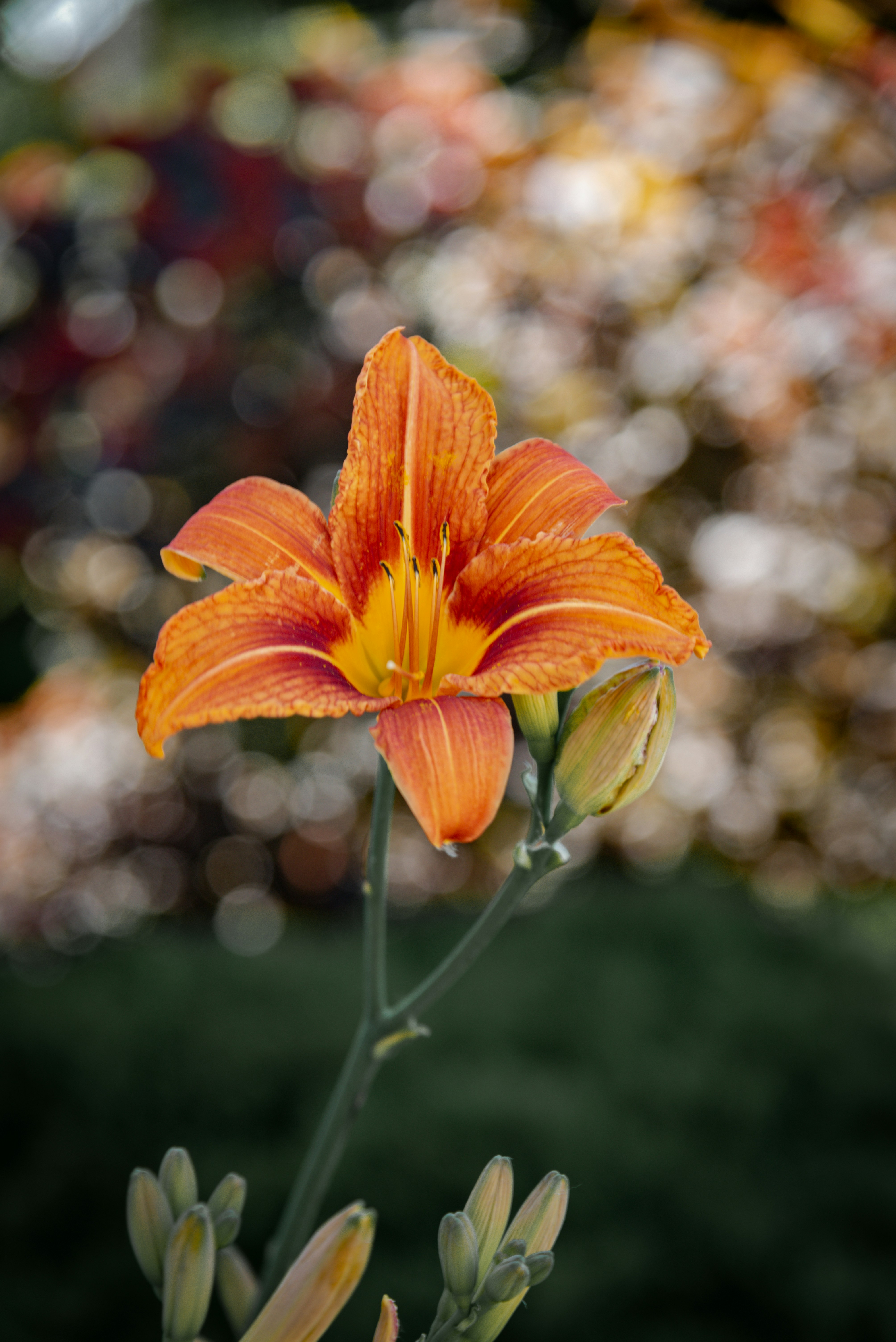 Photo by malwinanogaj