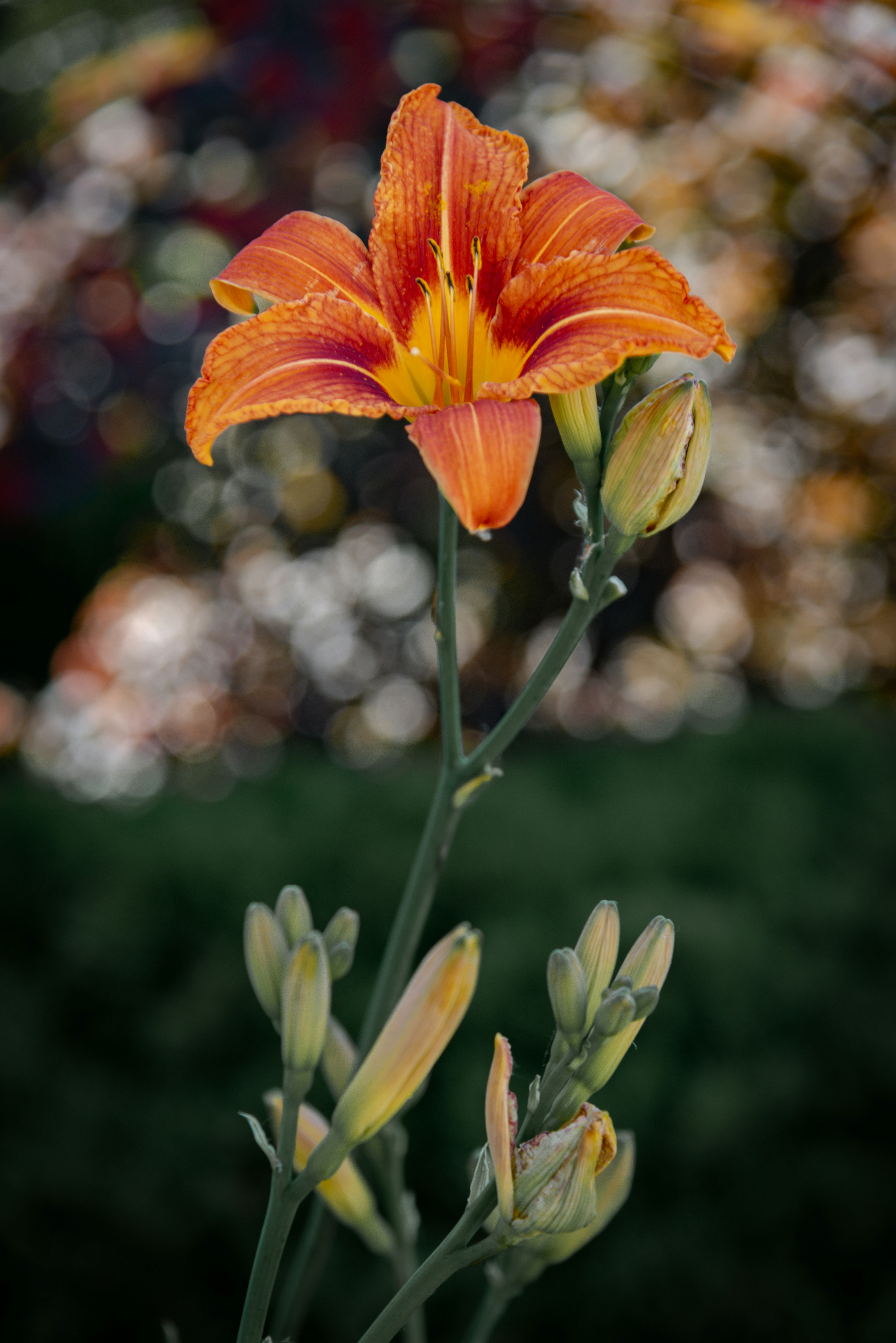 Photo by malwinanogaj