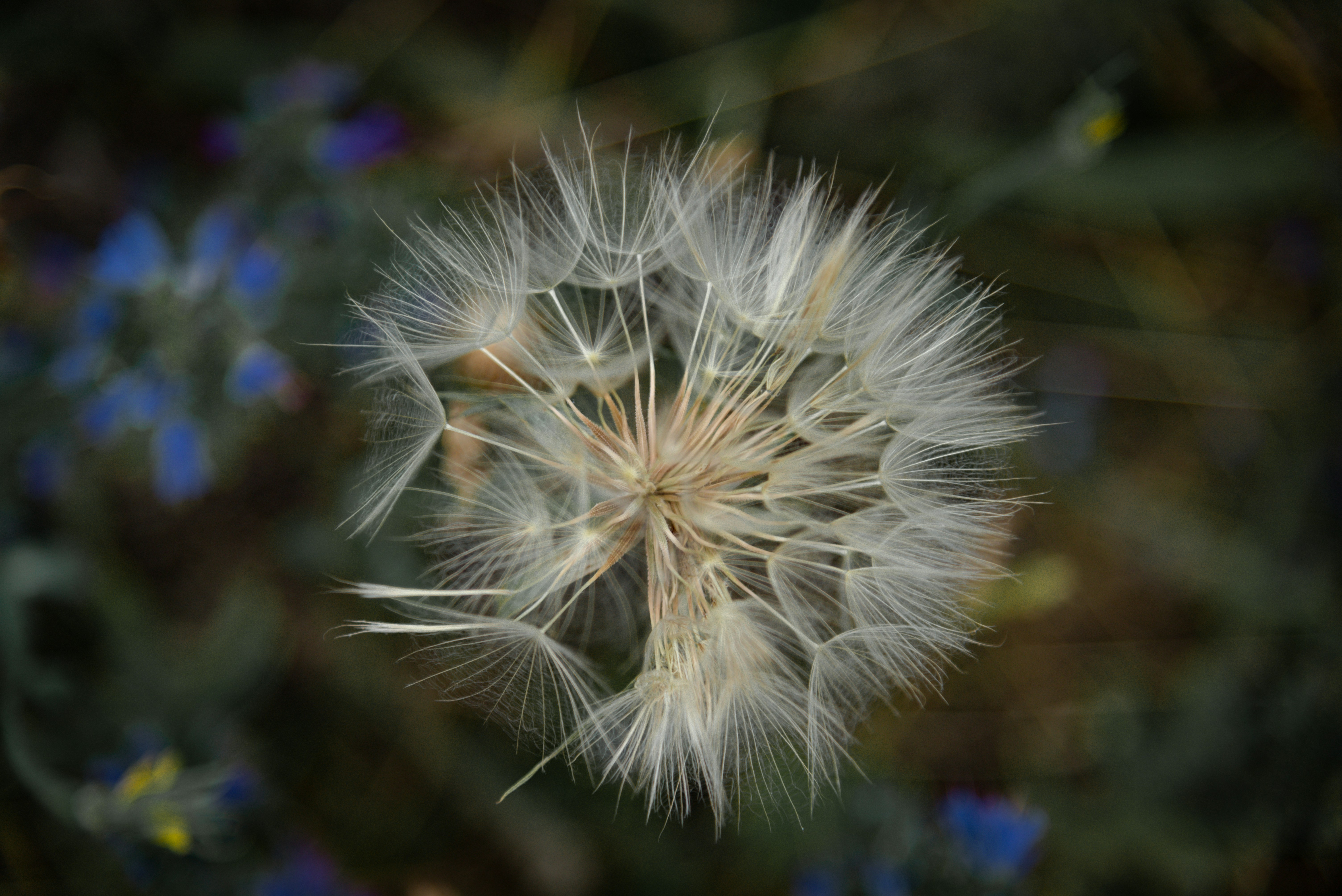 Photo by malwinanogaj